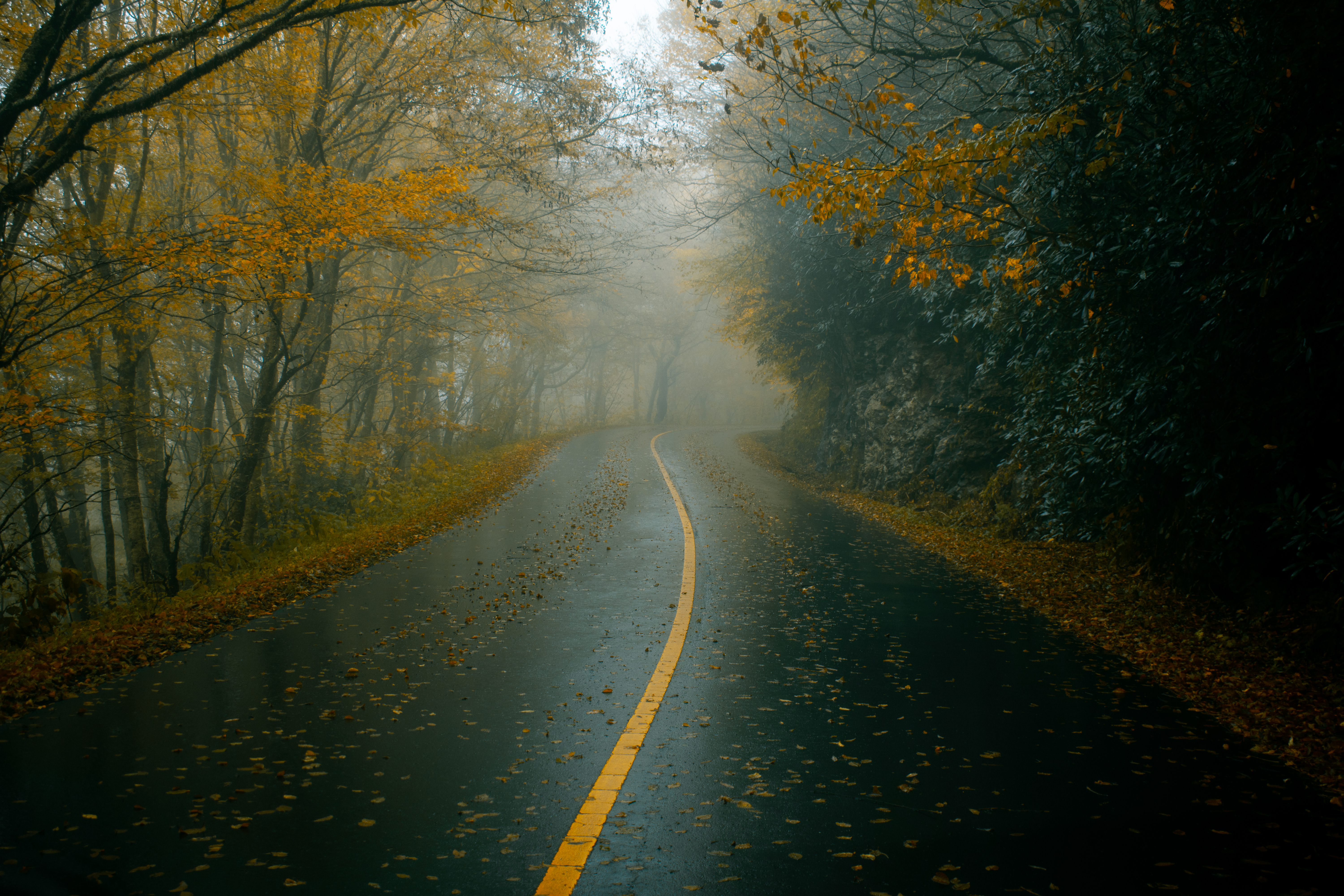 General 6000x4000 fall nature road dark mist foliage trees leaves Andrew Perales