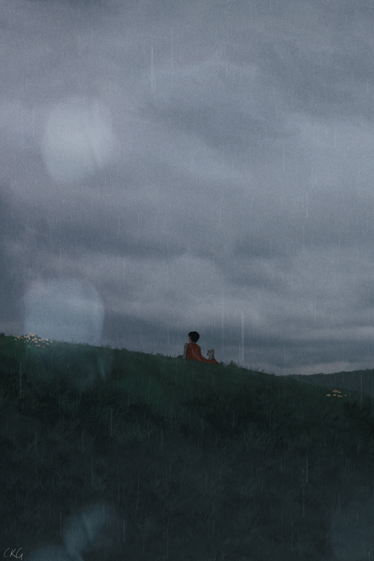 Anime 1238x1854 anime nature outdoors digital art field grass sky rain sitting anime boys dog red cape sad overcast