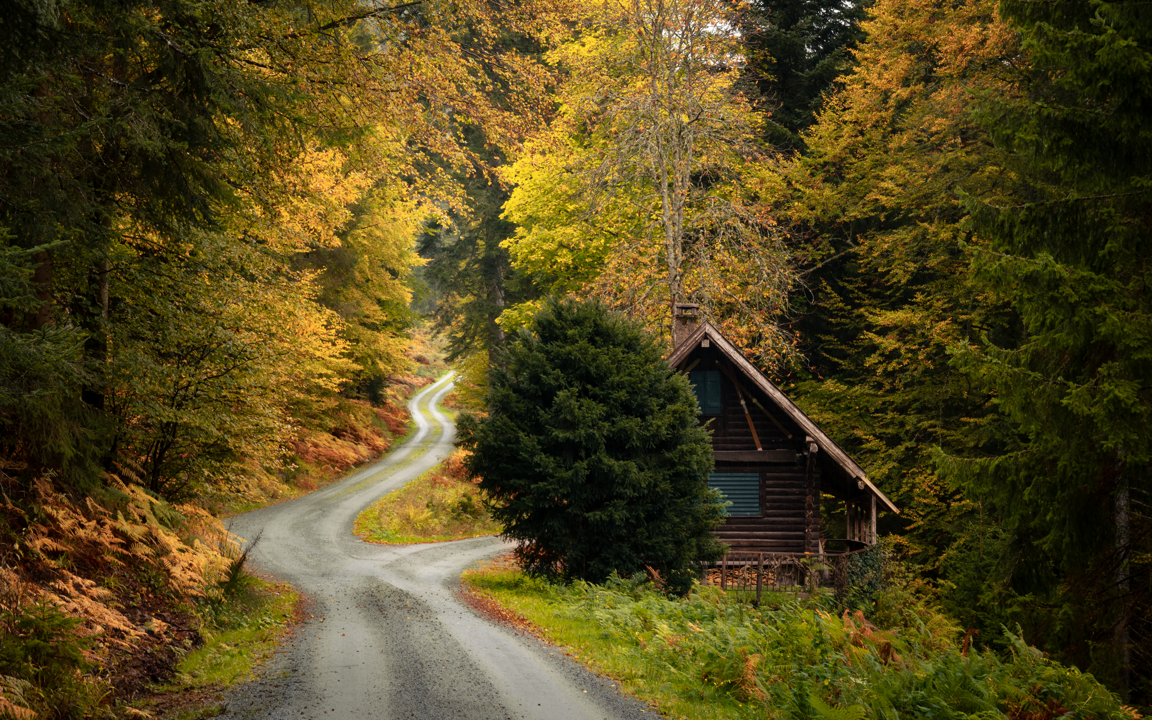 General 3840x2400 nature road fall plants trees grass house cabin Baden-Württemberg Germany Guido de Kleijn