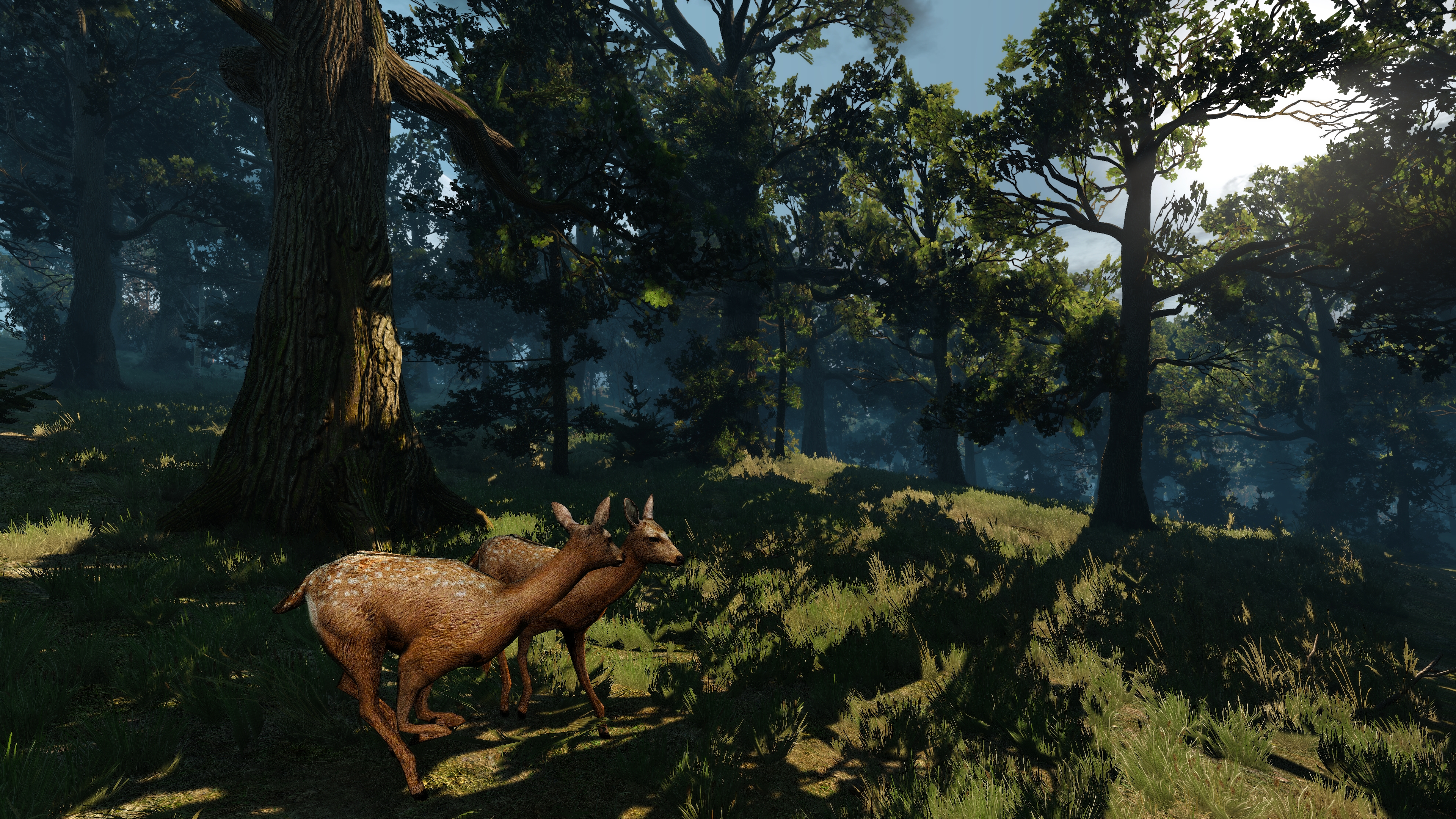 General 3840x2160 The Witcher 3: Wild Hunt screen shot video games deer forest The Witcher