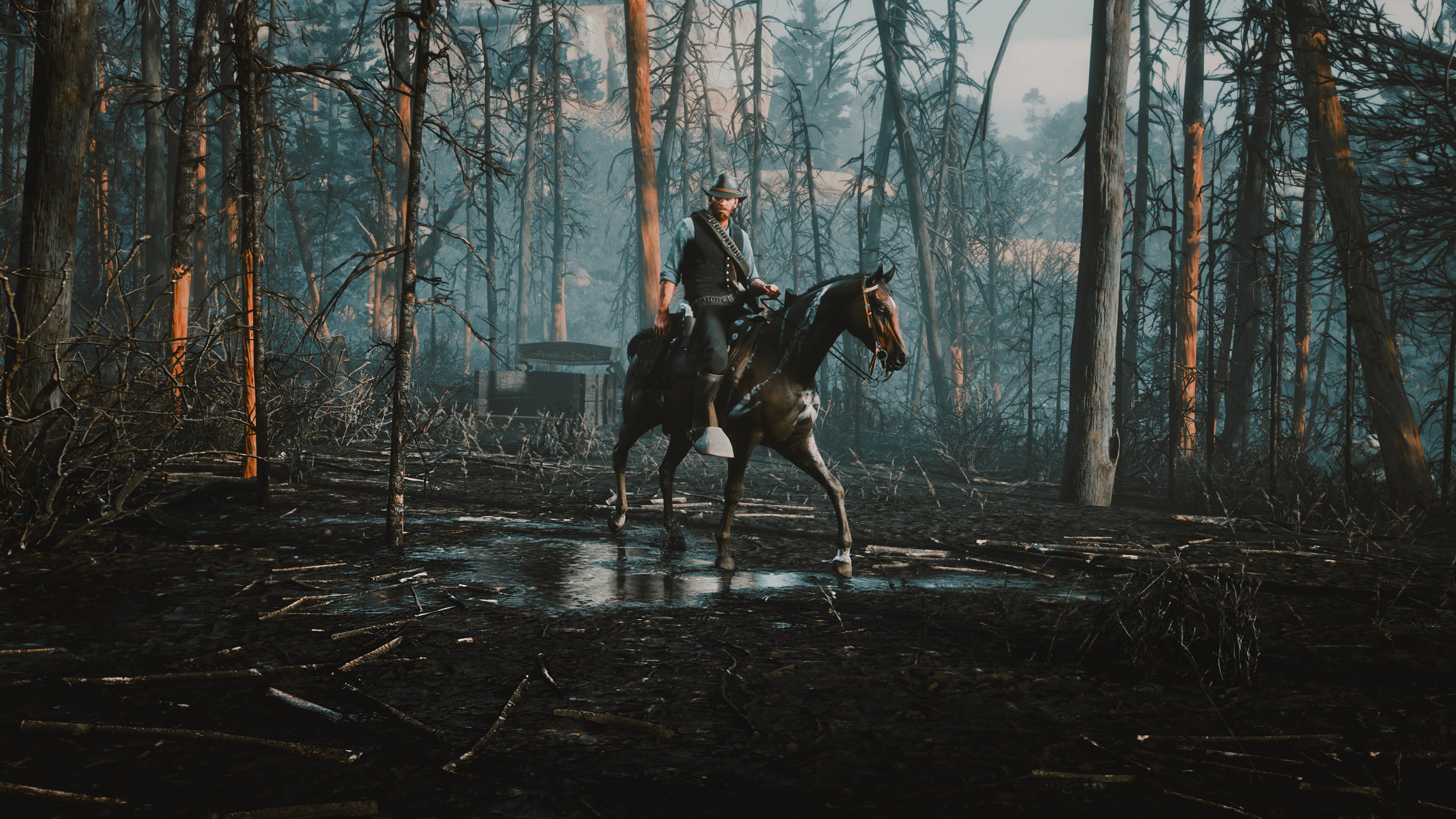 General 2560x1440 game photography Red Dead Redemption 2 Rockstar Games horse animals cowboy PC gaming horseback video game characters CGI video game art screen shot video games dead trees nature cowboy hats water