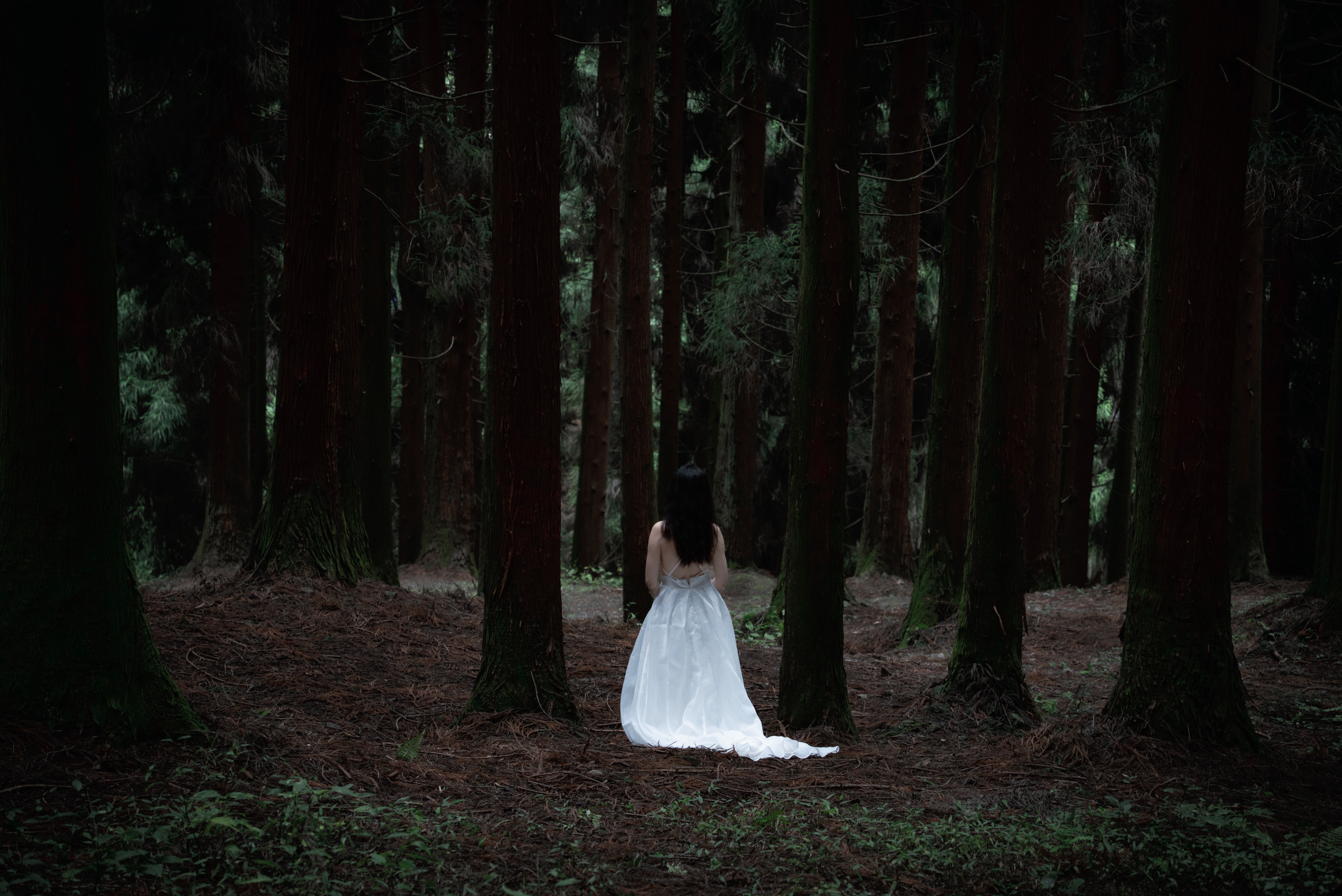 People 3460x2311 forest women Asian white dress trees