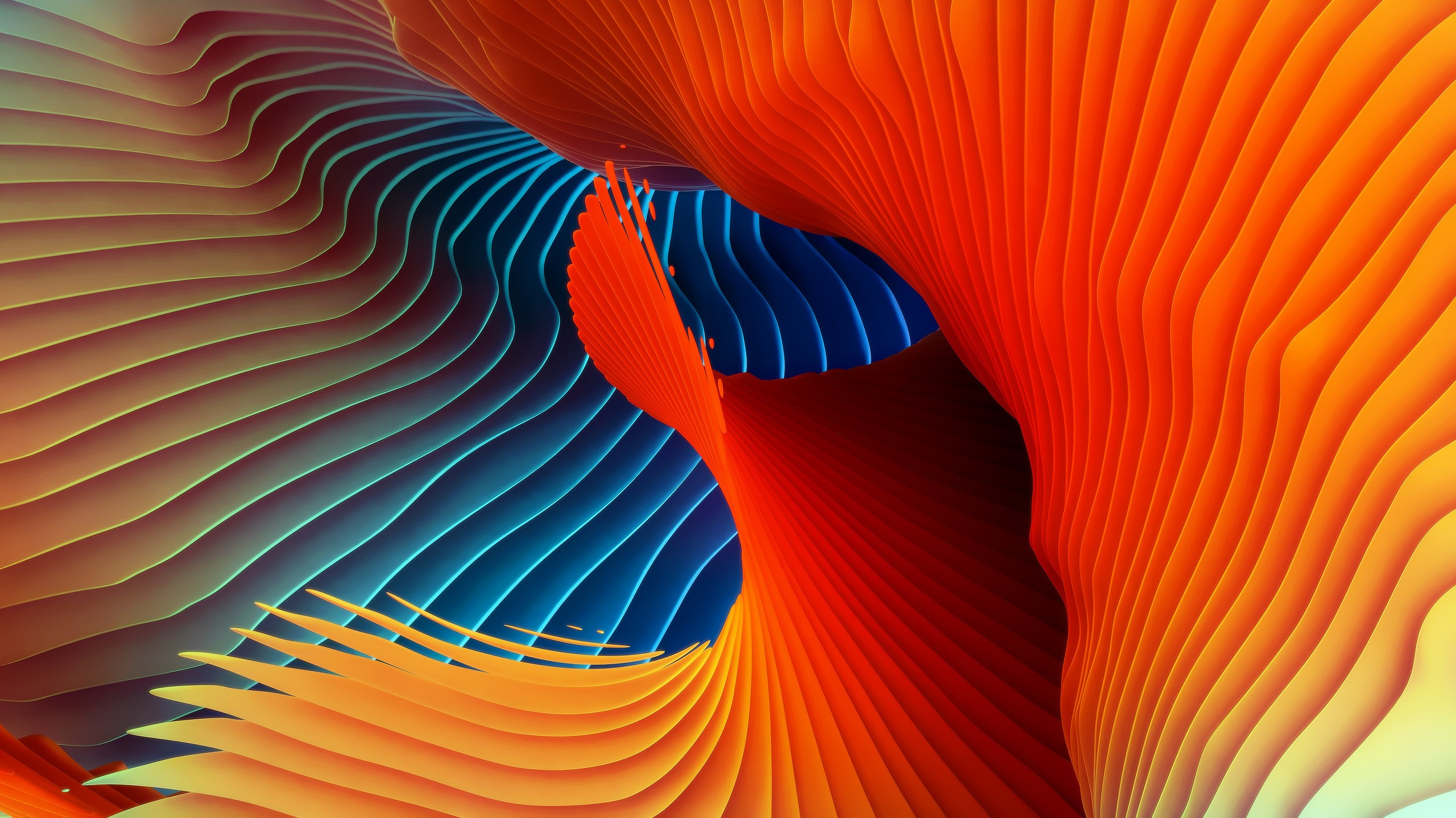 General 2560x1440 abstract colorful shapes digital art