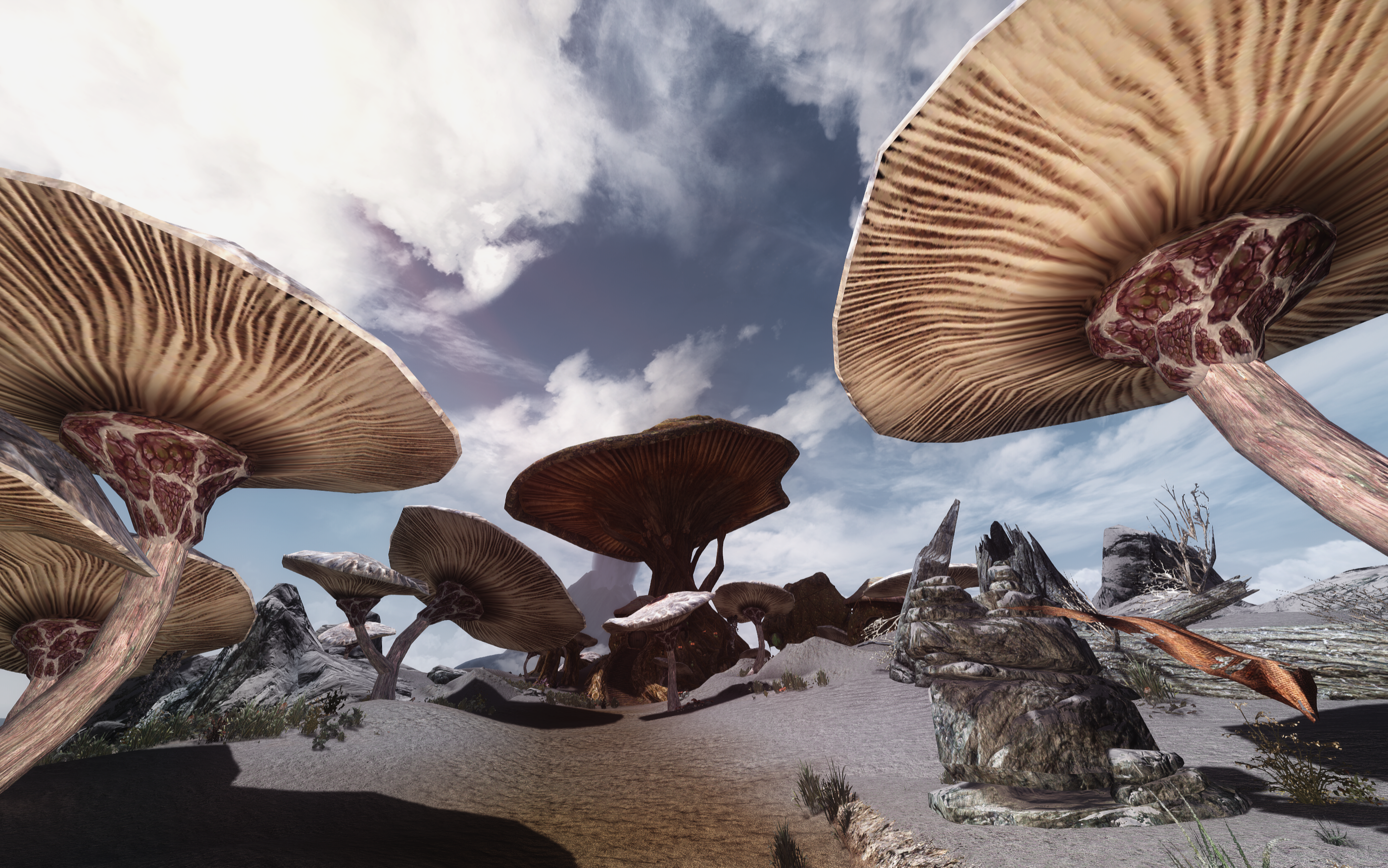 General 2804x1754 The Elder Scrolls V: Skyrim RPG screen shot PC gaming mushroom