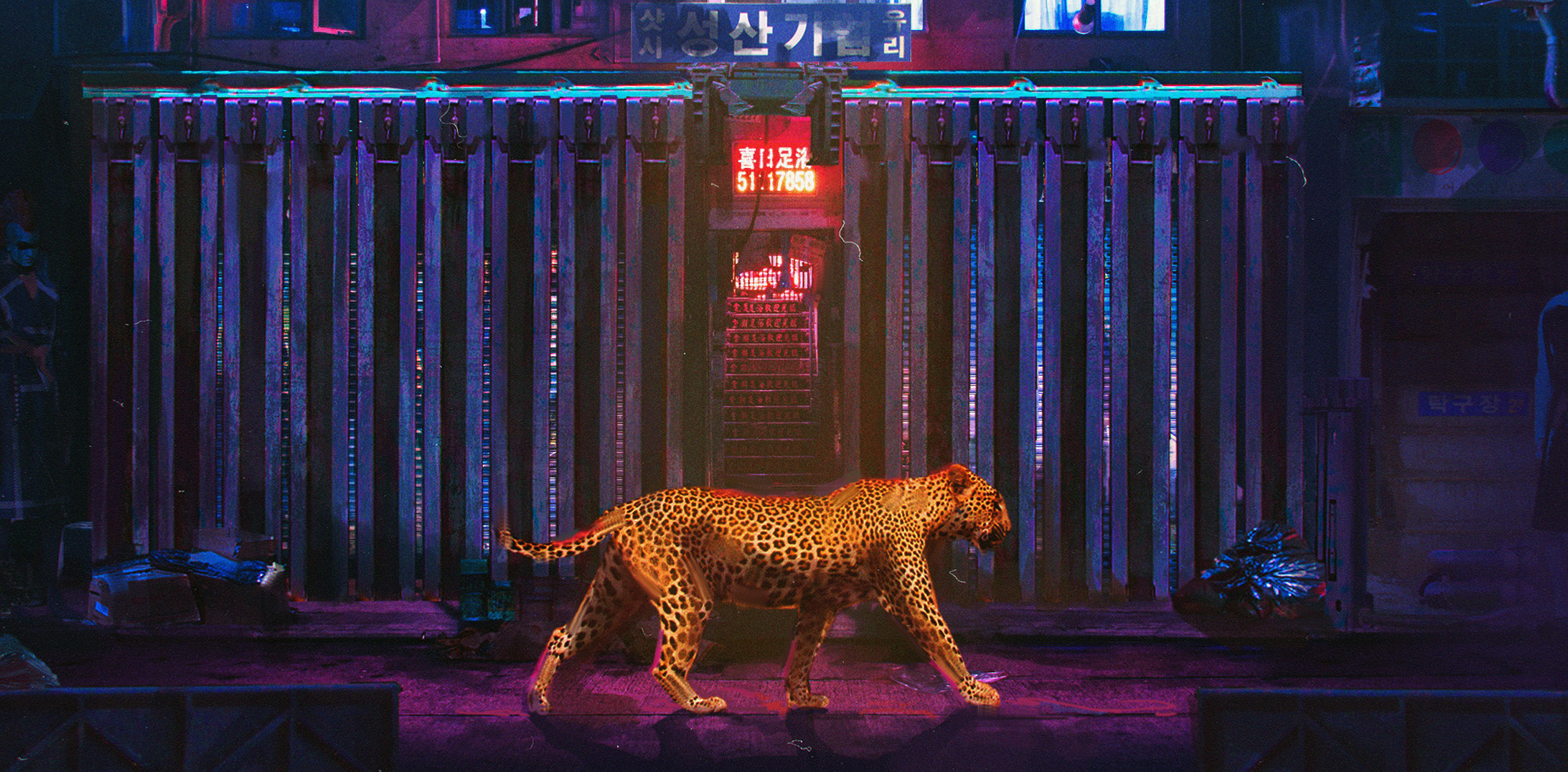 General 2185x1076 neon animals leopard feline big cats walking city night