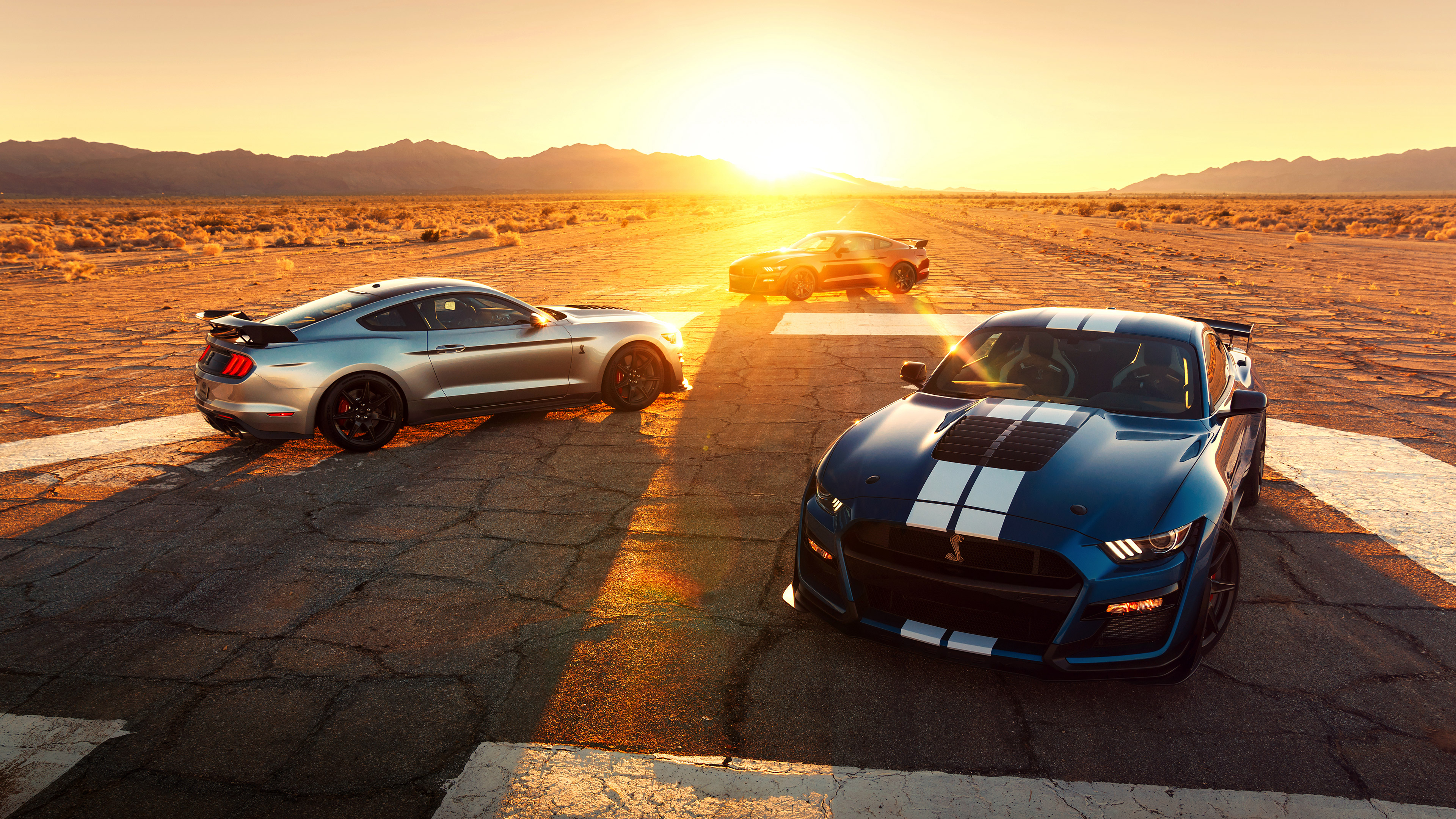 General 3840x2160 vehicle car sunset Ford Mustang Shelby Ford Ford Mustang Ford Mustang S550 muscle cars American cars racing stripes
