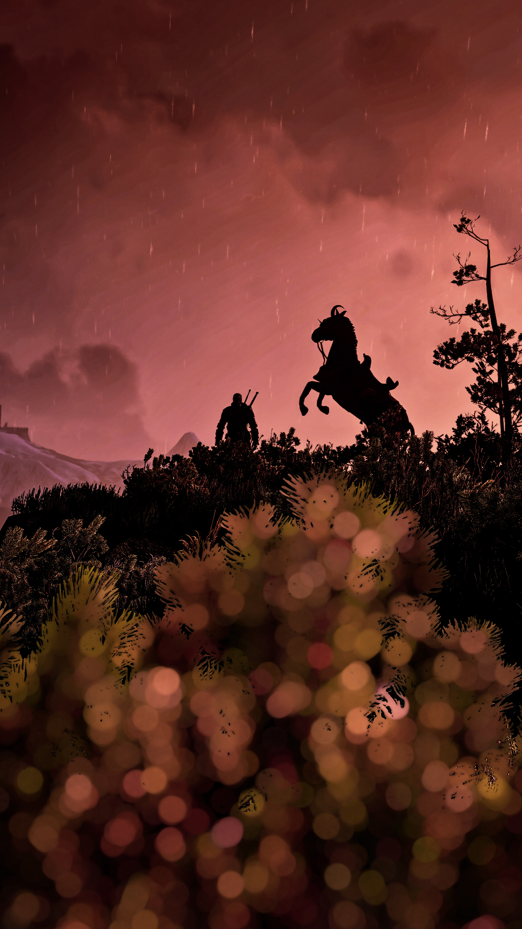 General 1688x3000 The Witcher 3: Wild Hunt The Witcher Geralt of Rivia screen shot CD Projekt RED Book characters silhouette video game characters CGI video game art animals horse video game men portrait display standing