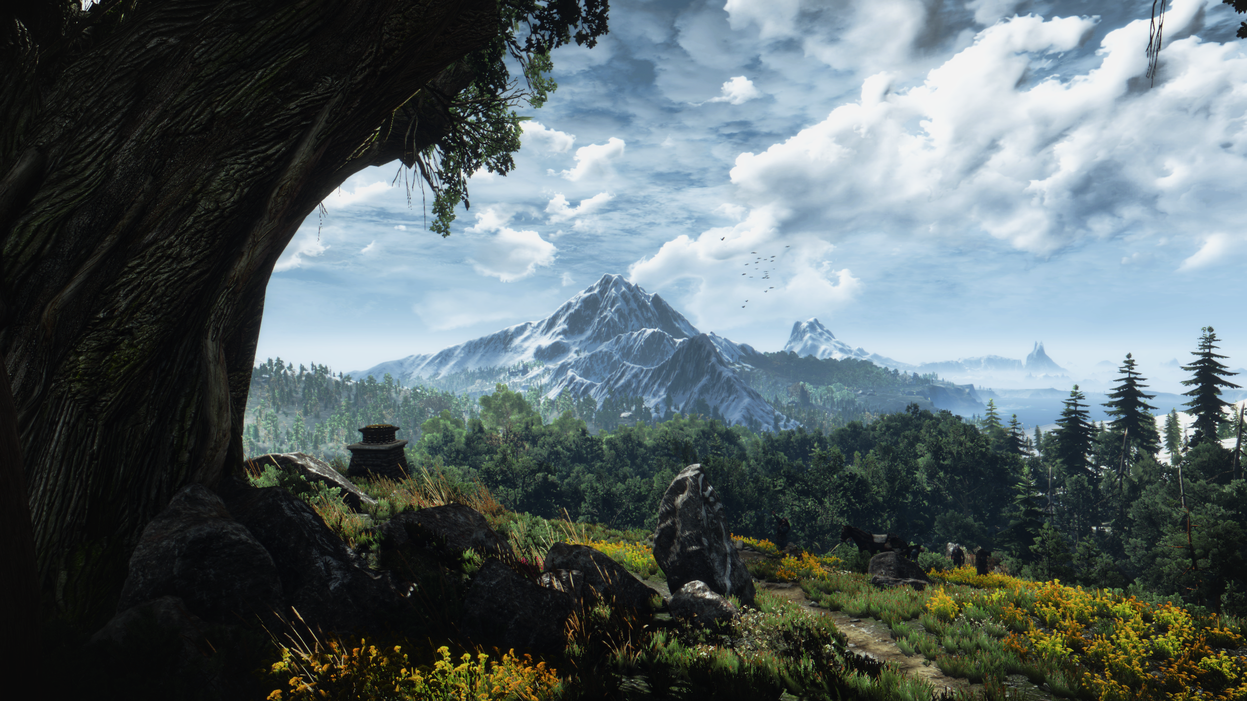 General 2560x1440 The Witcher 3: Wild Hunt The Witcher video games CD Projekt RED