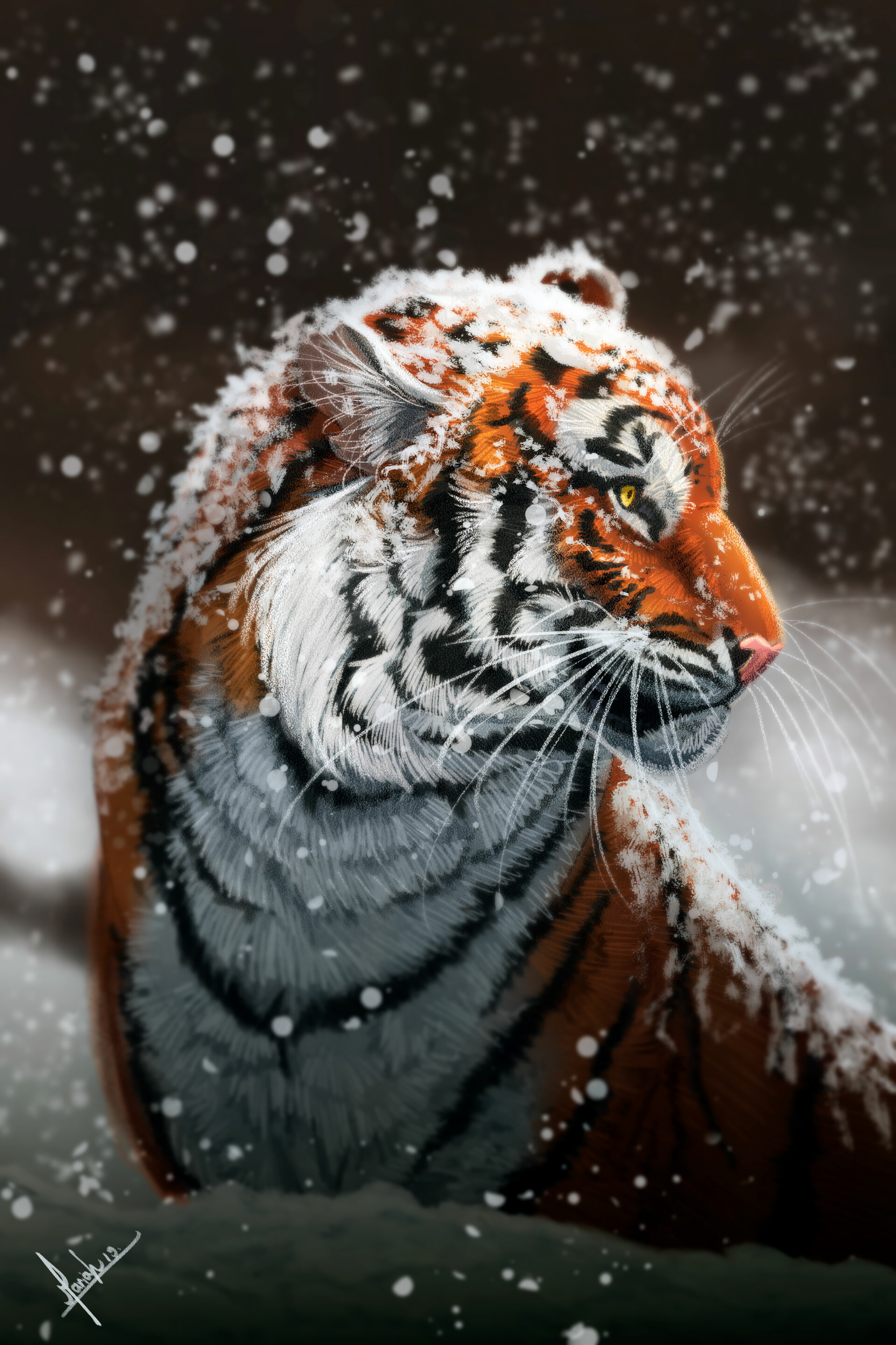 General 1920x2880 tiger portrait display snow