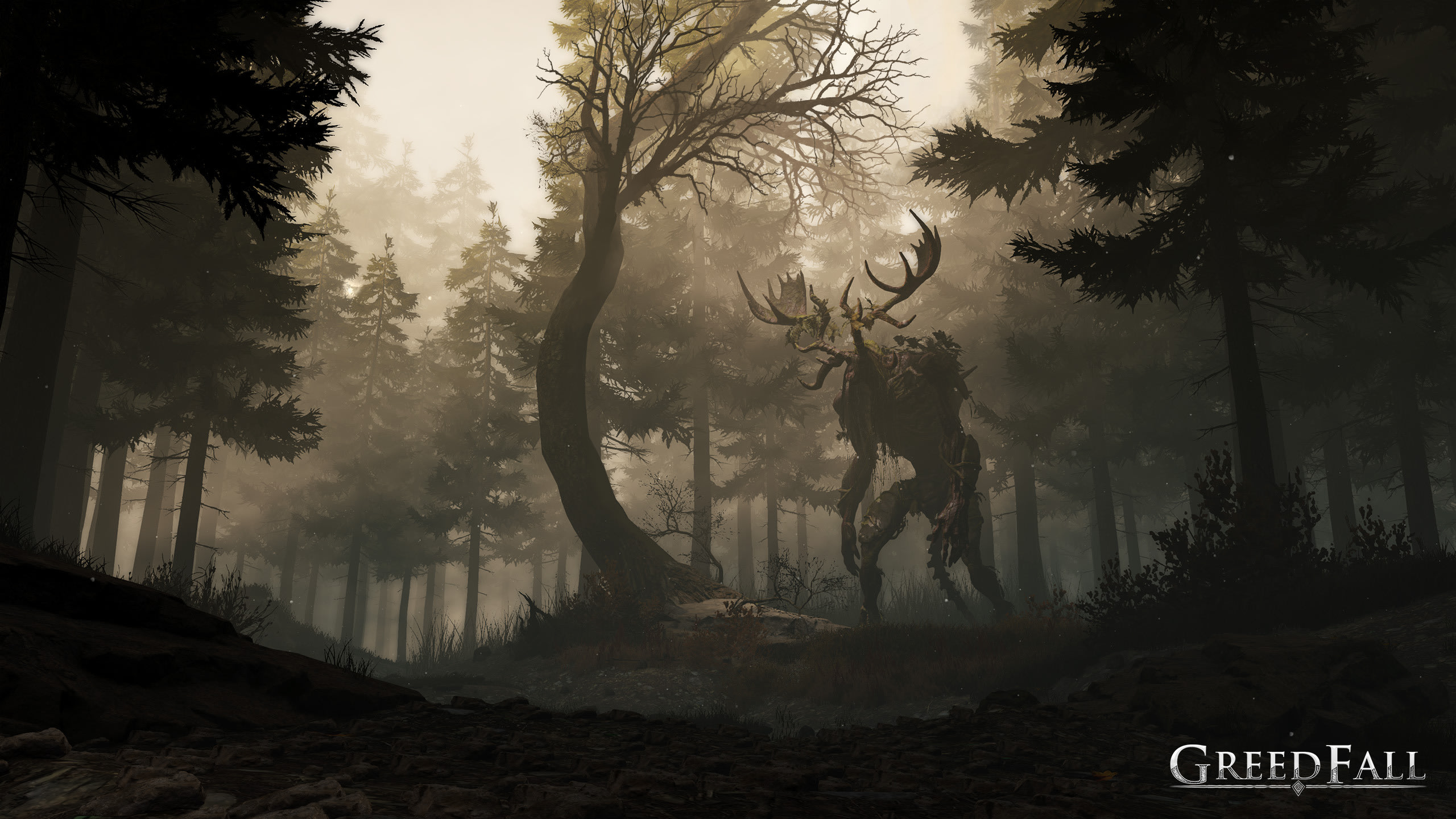 General 2560x1440 Greedfall video games dark forest fantasy art