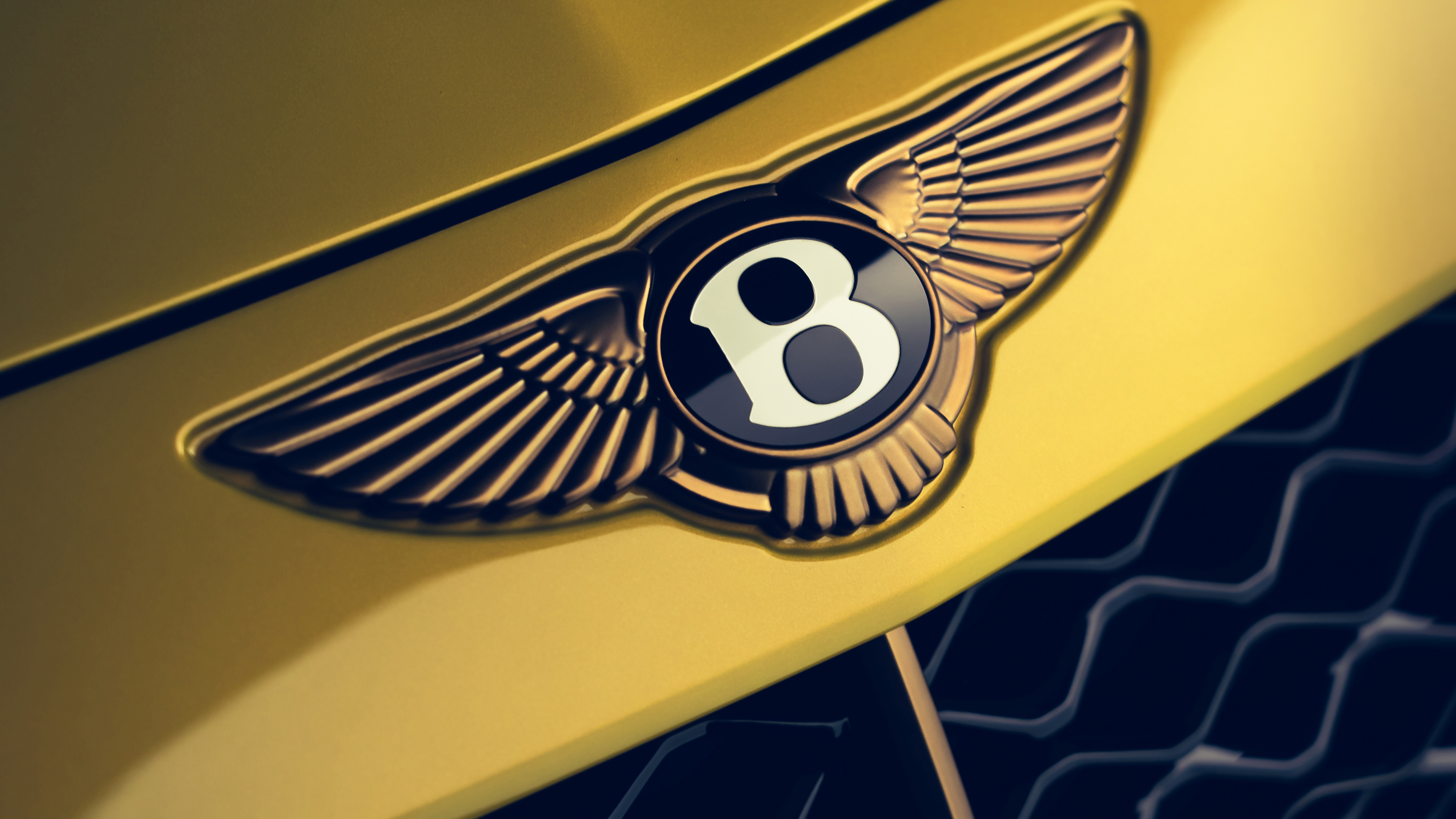 General 5120x2880 Bentley Mulliner Bacalar Bentley logo car vehicle closeup wings British cars Volkswagen Group