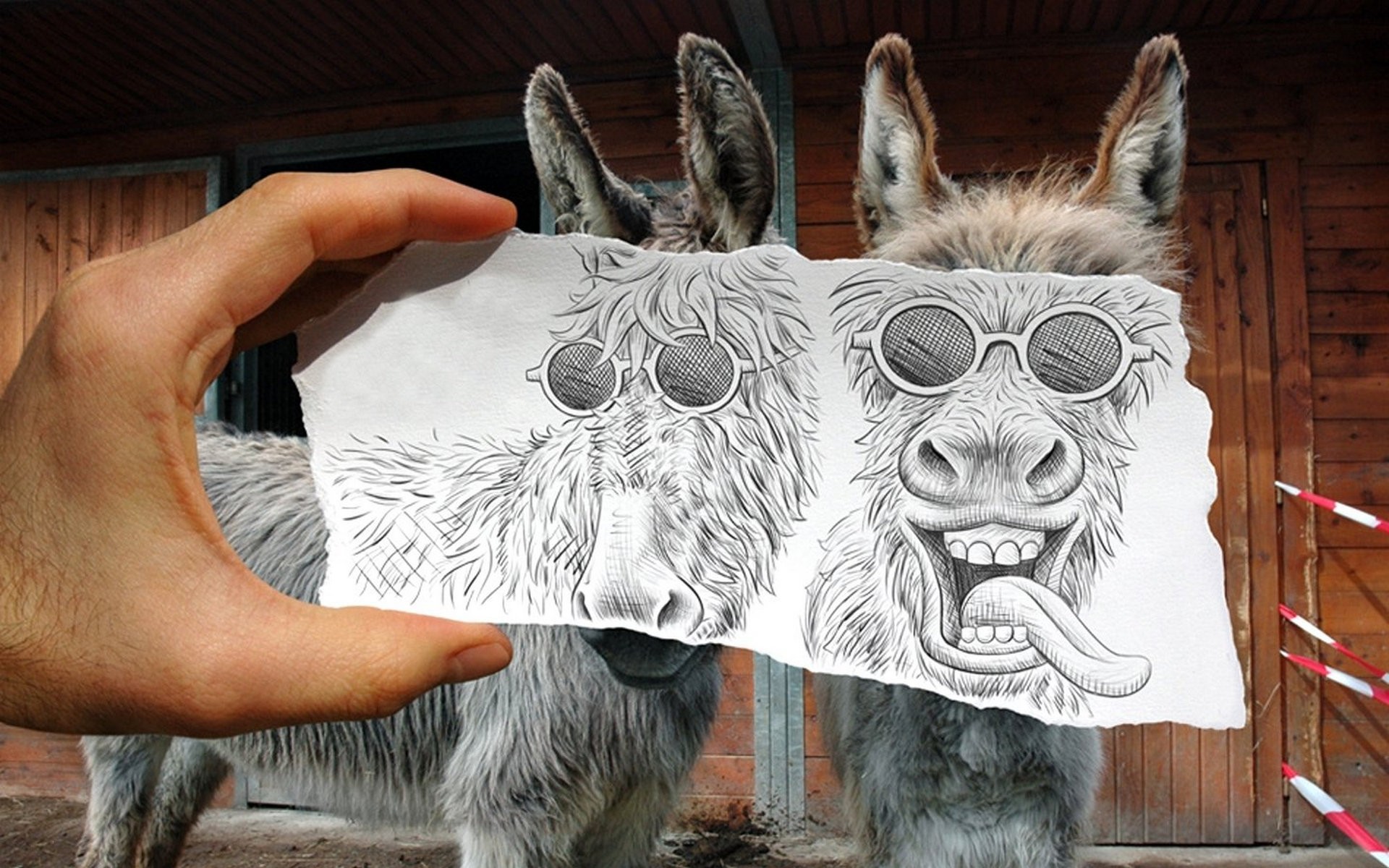 General 1920x1200 drawing donkey animals hands