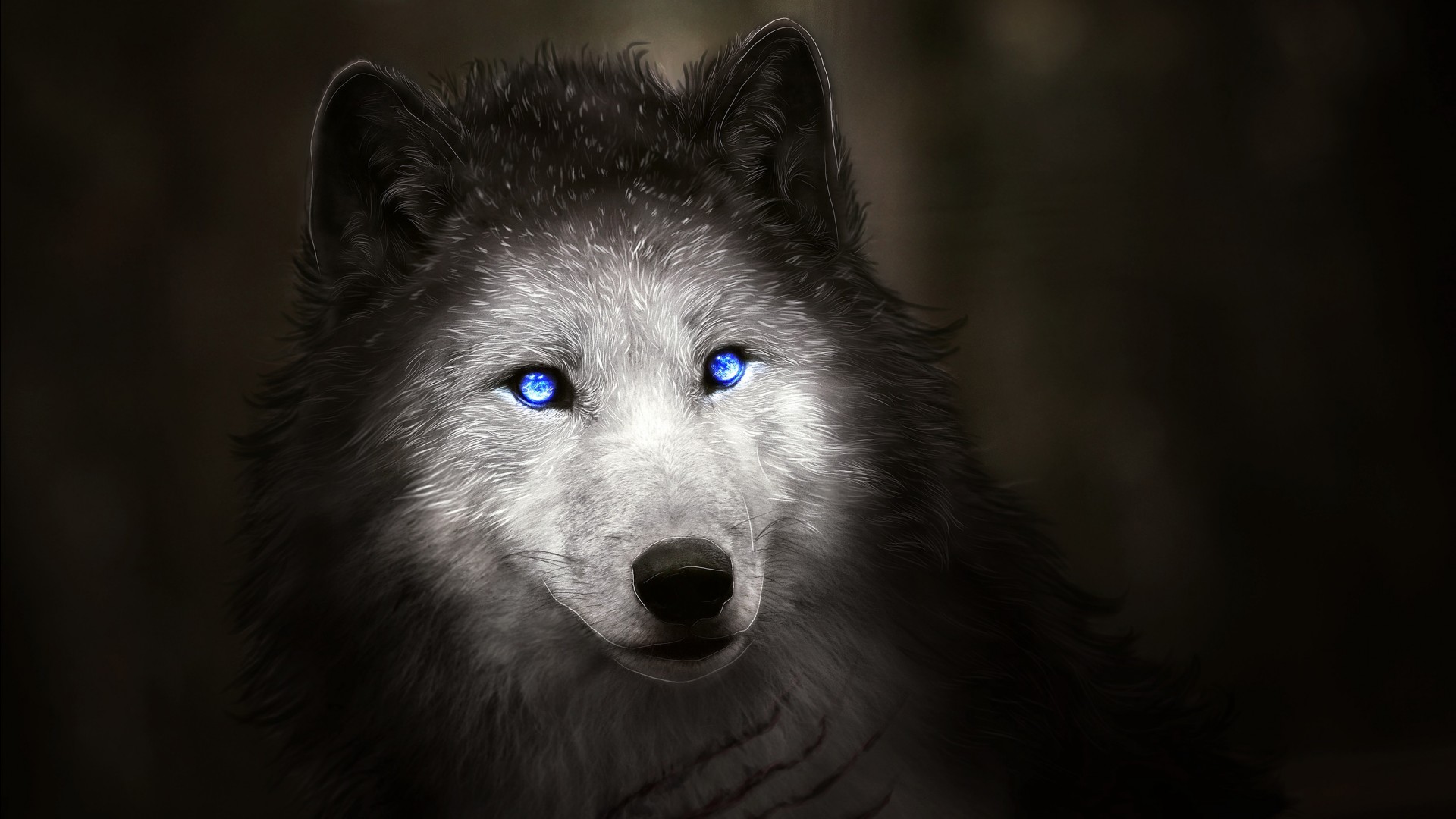 Anime 1920x1080 animals wolf blue eyes