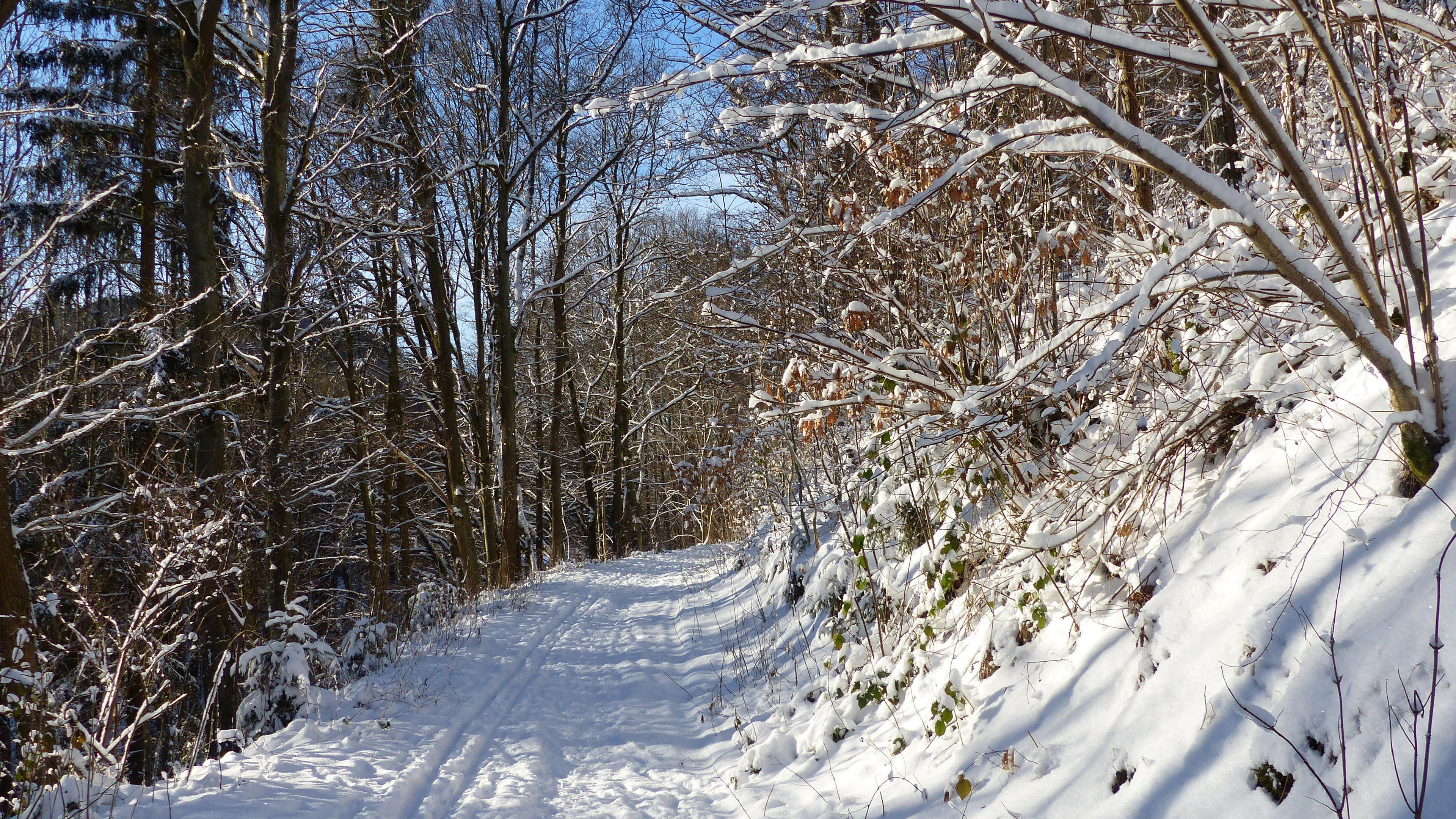 General 3840x2160 winter snow nature path trees