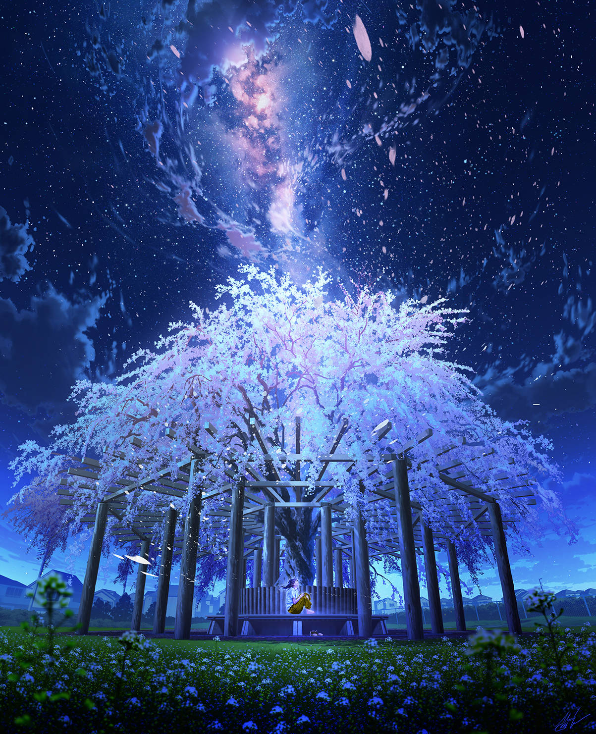 Anime 1203x1482 Mocha cherry blossom anime girls sky flowers starry night trees stars petals galaxy nebula night women outdoors Milky Way looking up portrait display field sitting