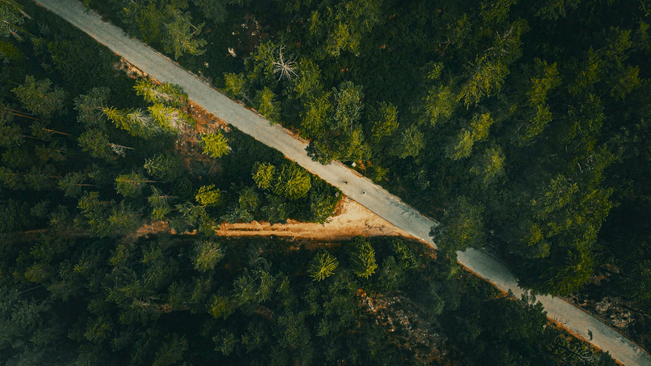 General 2560x1440 nature road path trees forest aerial view Portugal