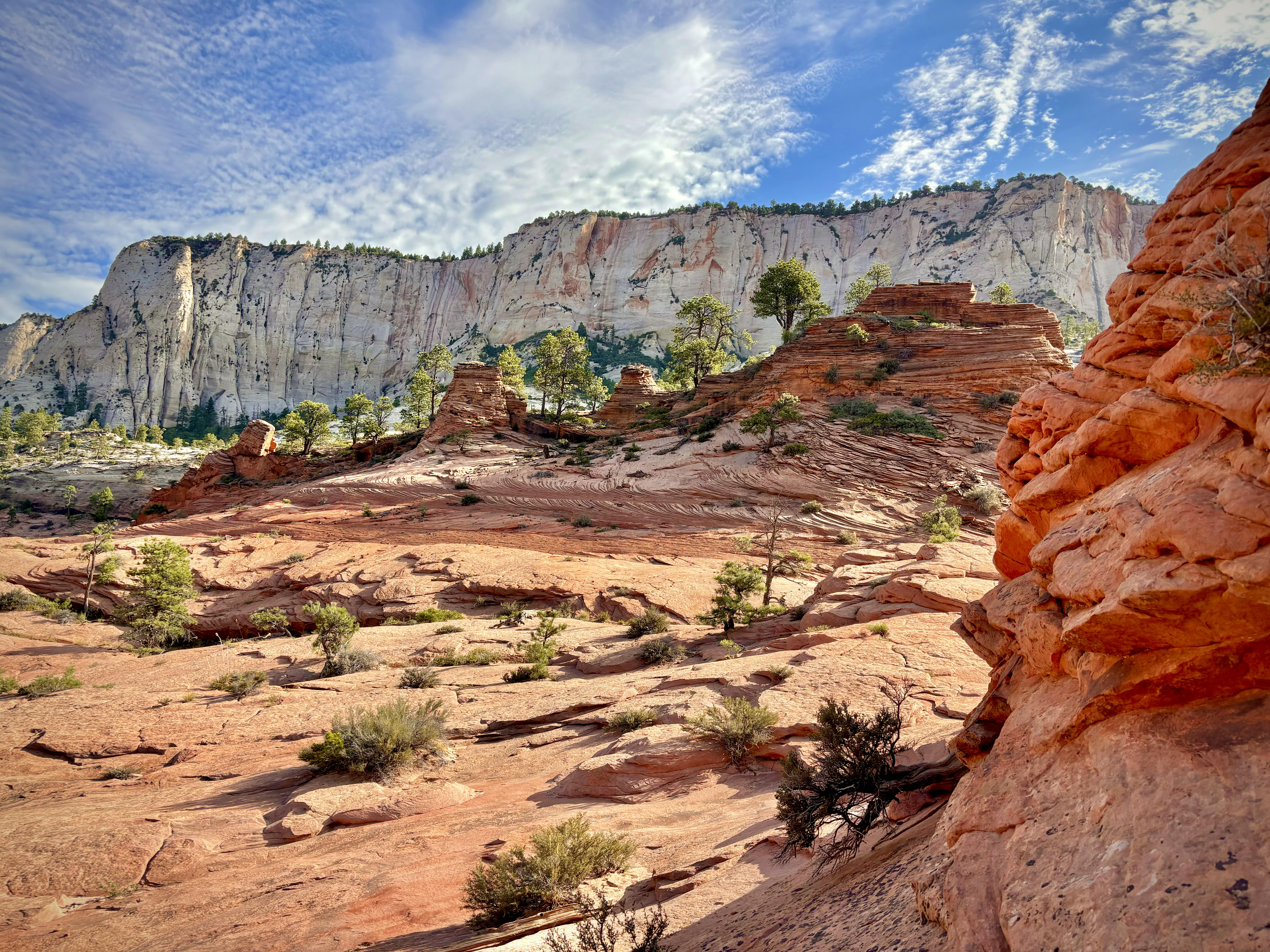 General 5712x4284 clouds rocks nature trees shrubs Utah Zion National Park USA North America cliff landscape