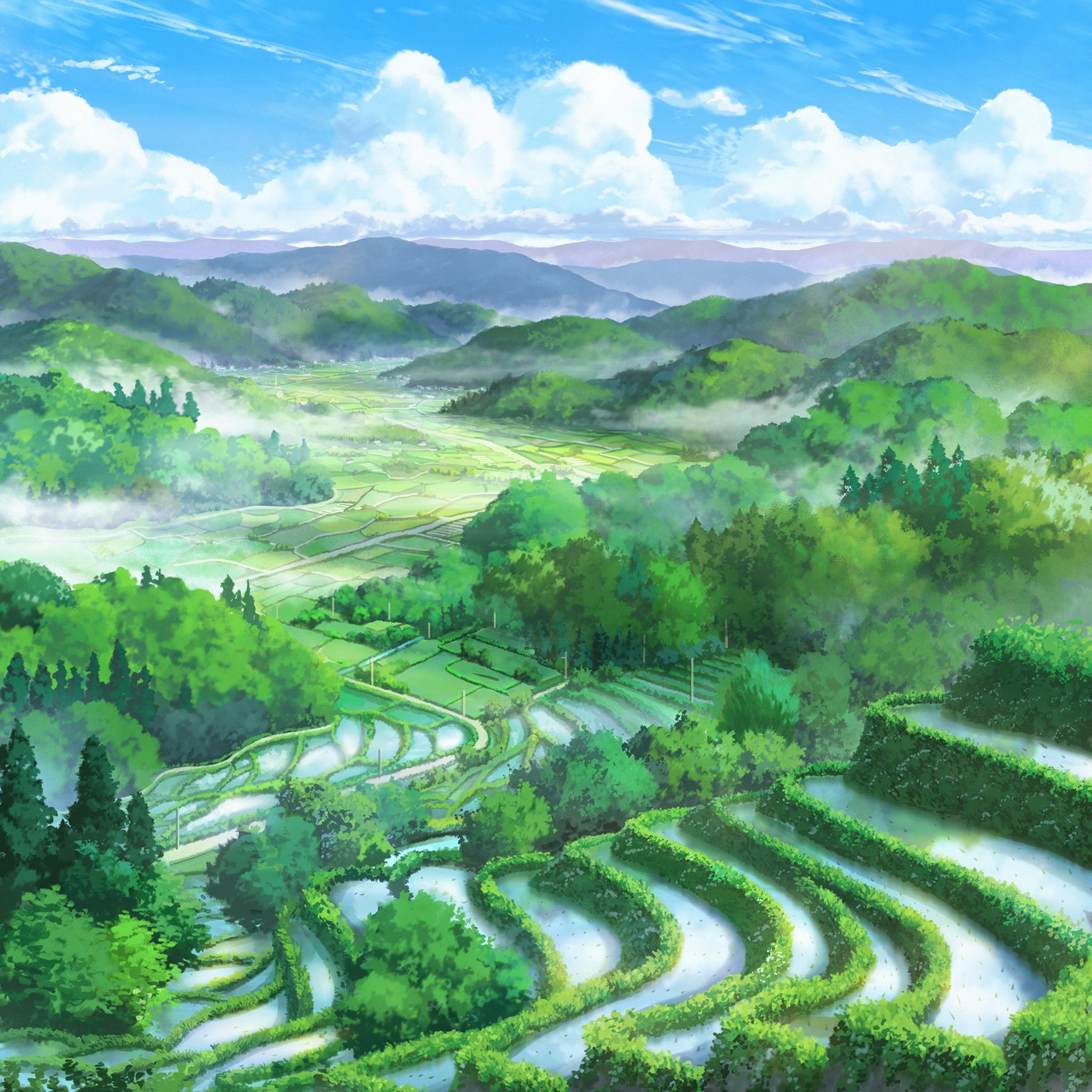 Anime 2048x2048 anime landscape field clouds