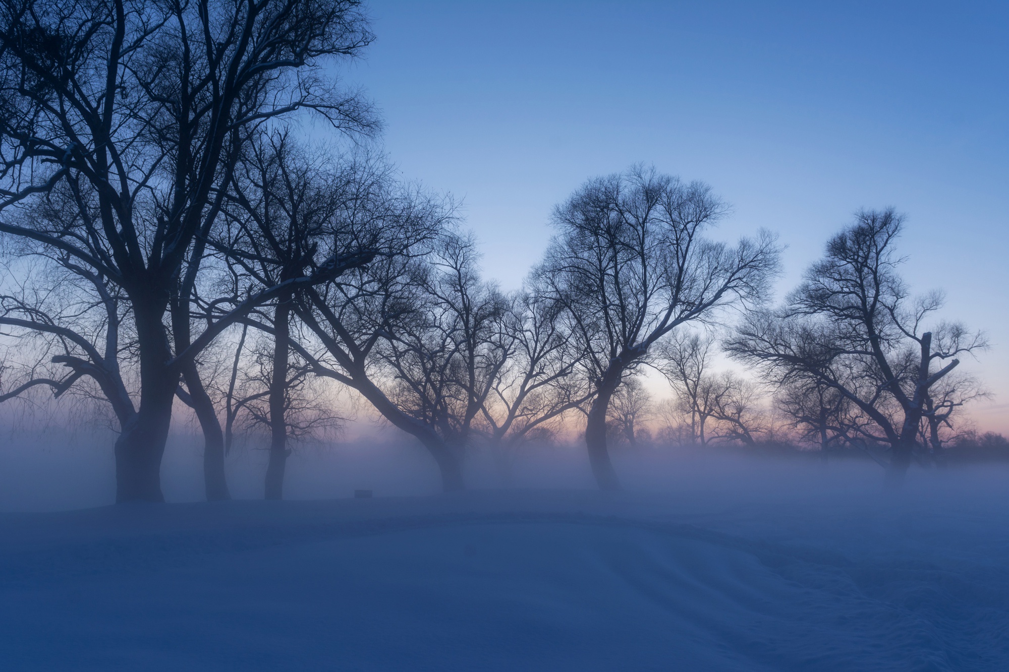 General 2000x1333 morning Russia cold trees ice snow winter nature outdoors mist