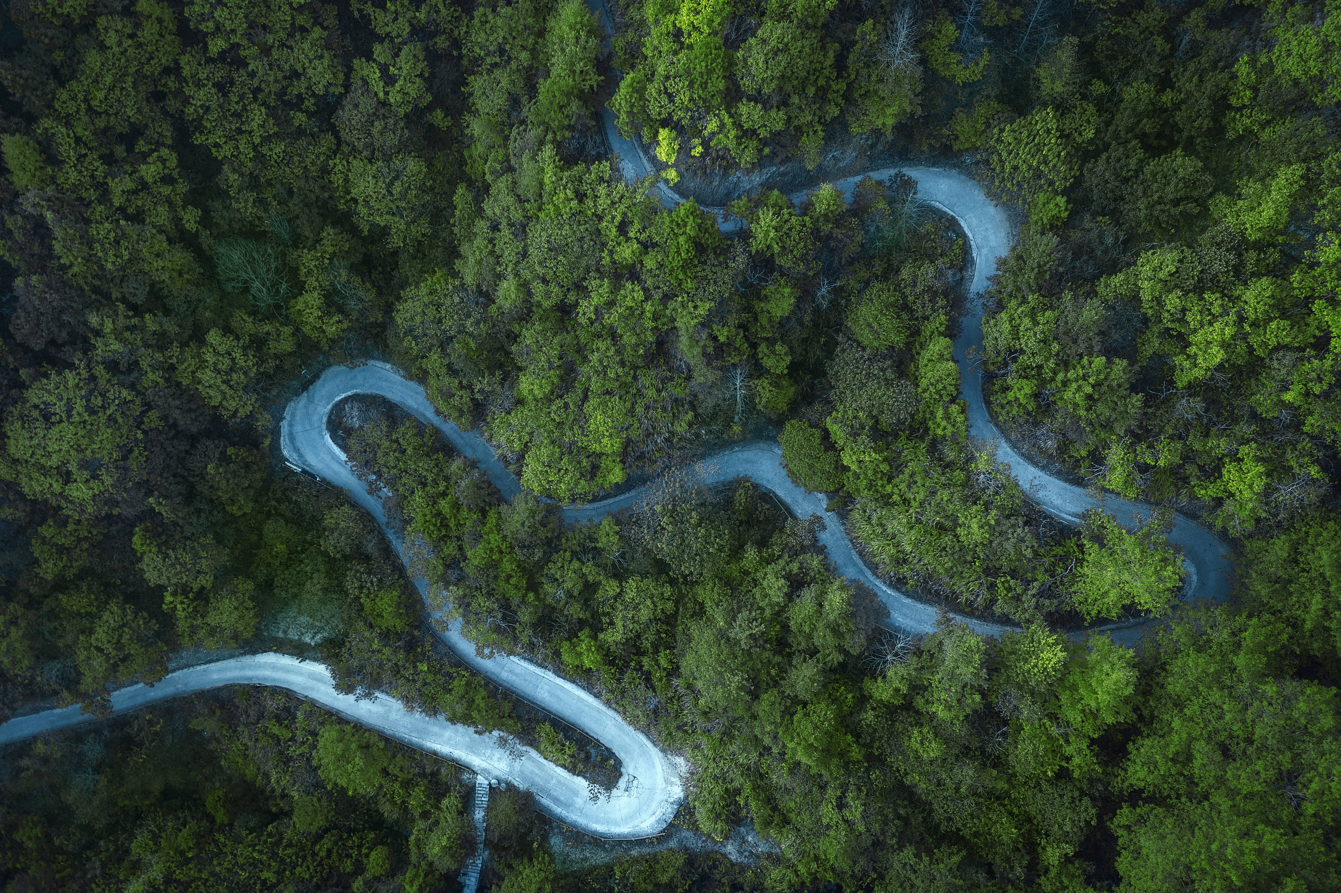 General 4500x2997 green trees road aerial view
