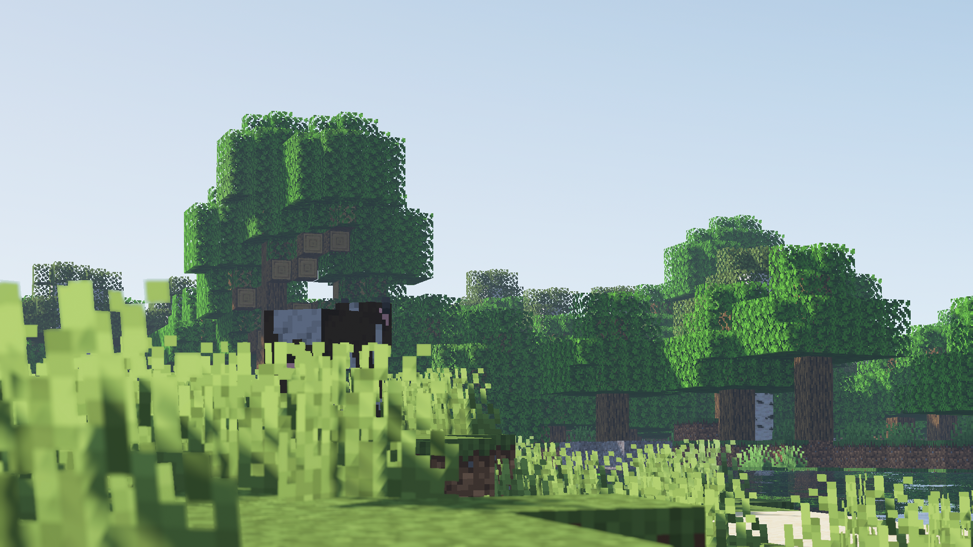 General 1920x1080 Minecraft trees shaders plants cow sheep forest sky oak birch 3D Blocks
