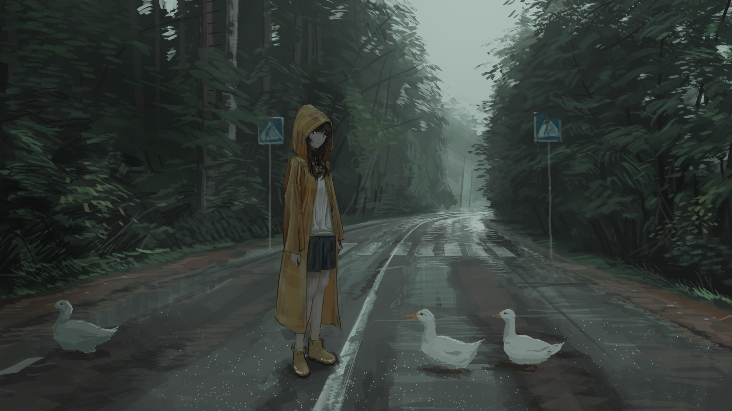 Anime 2560x1440 anime girls anime nature trees crosswalk raincoat artwork PANP