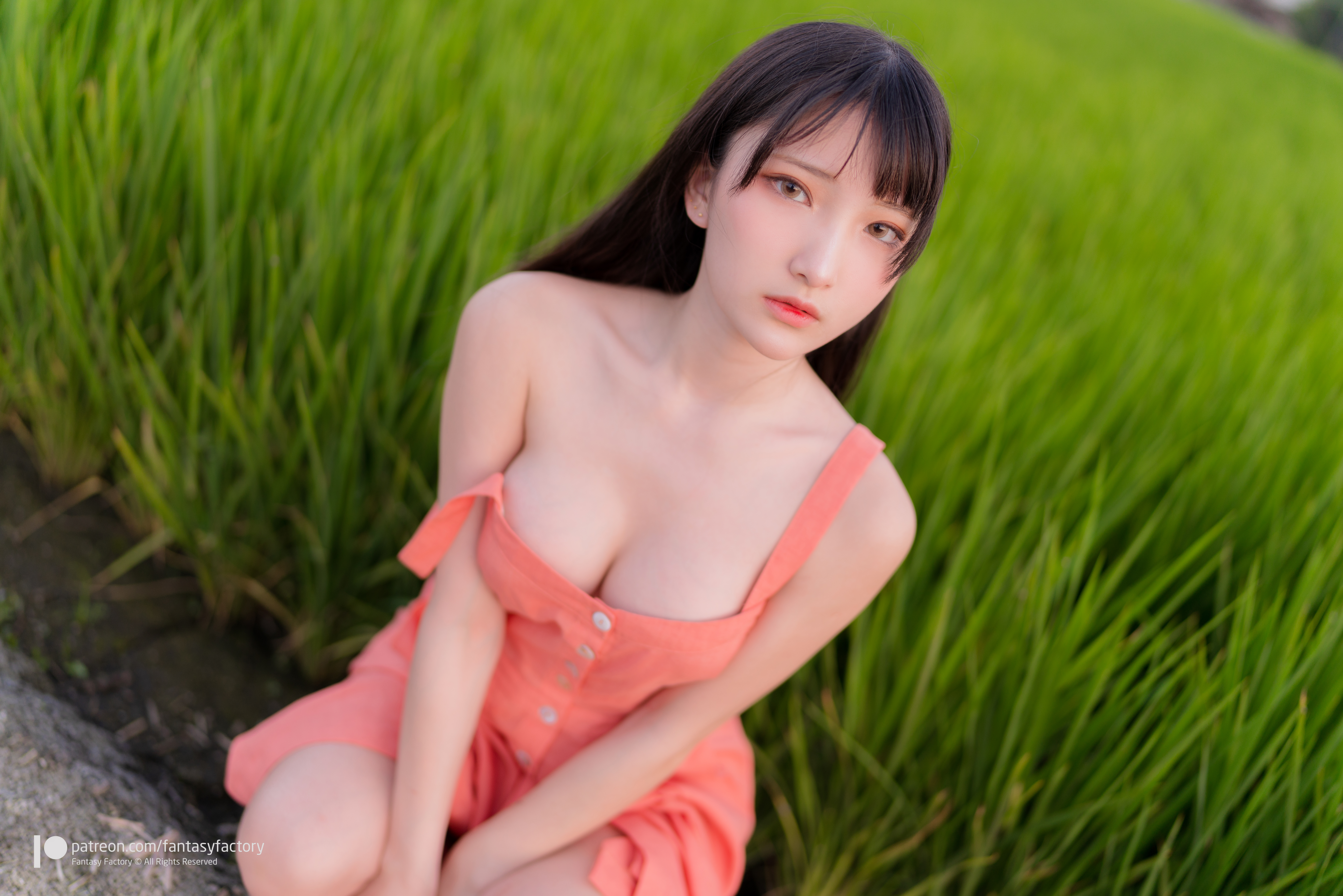 People 7952x5304 women model Asian brunette bangs dress looking at viewer cleavage bare shoulders no bra squatting rice fields bokeh outdoors women outdoors parted lips Fantasy Factory
