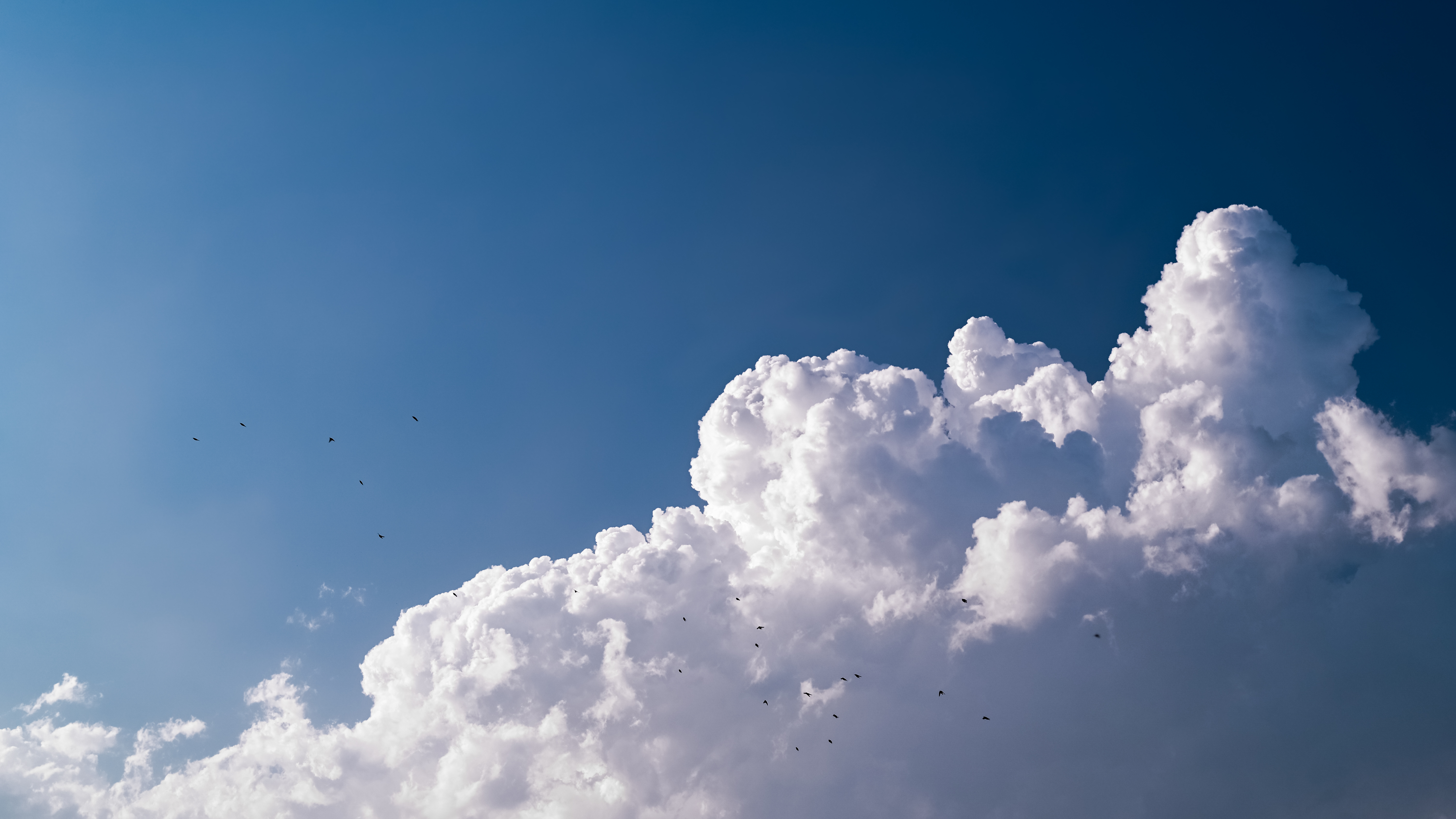 General 5633x3169 nature clouds sky bright outdoors photography birds Jonathan Curry