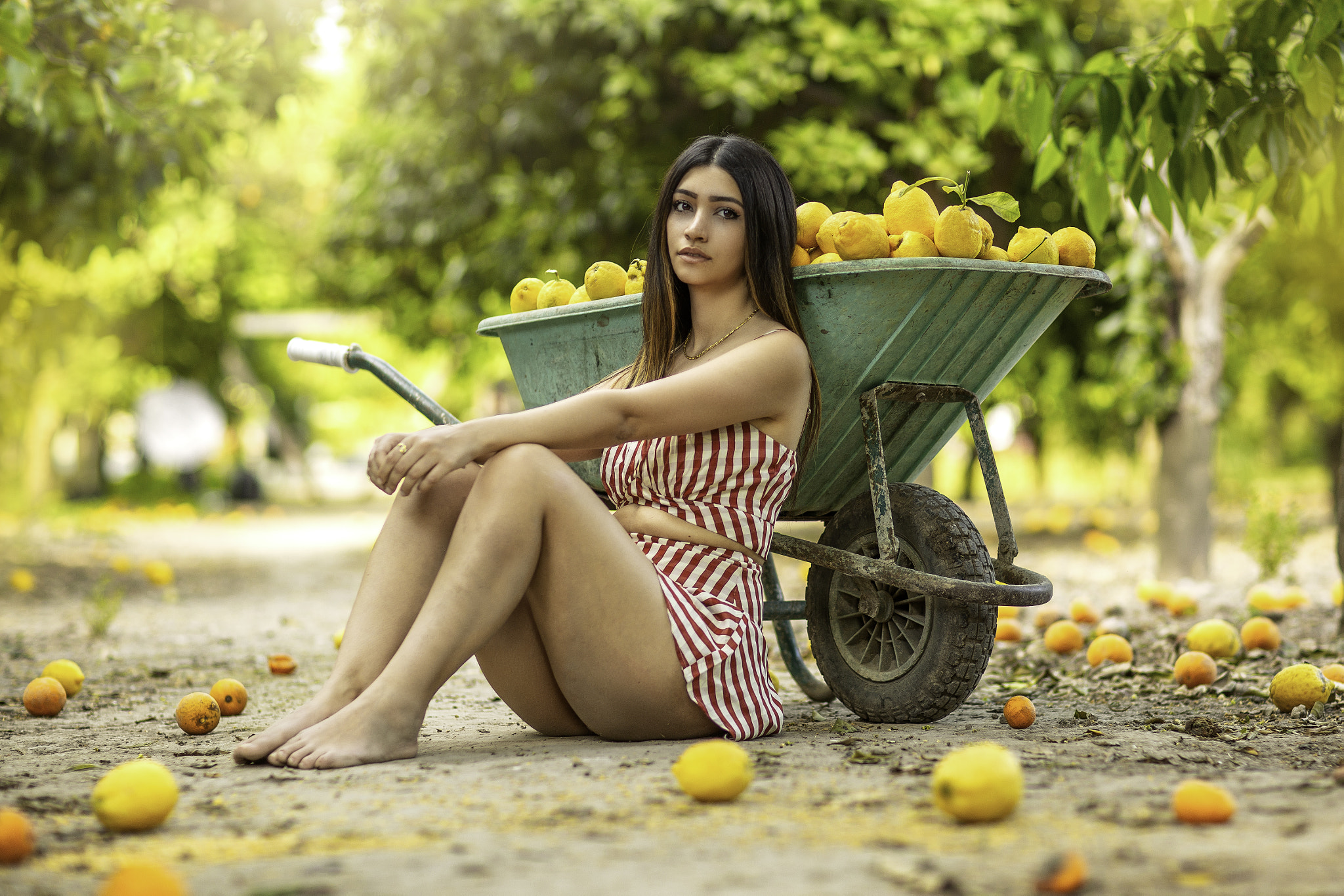 People 2048x1366 Alessandro Di Cicco women ombre hair long hair straight hair looking at viewer dress stripes barefoot legs lemons fruit wheelbarrows model brunette thighs sitting orchards women outdoors