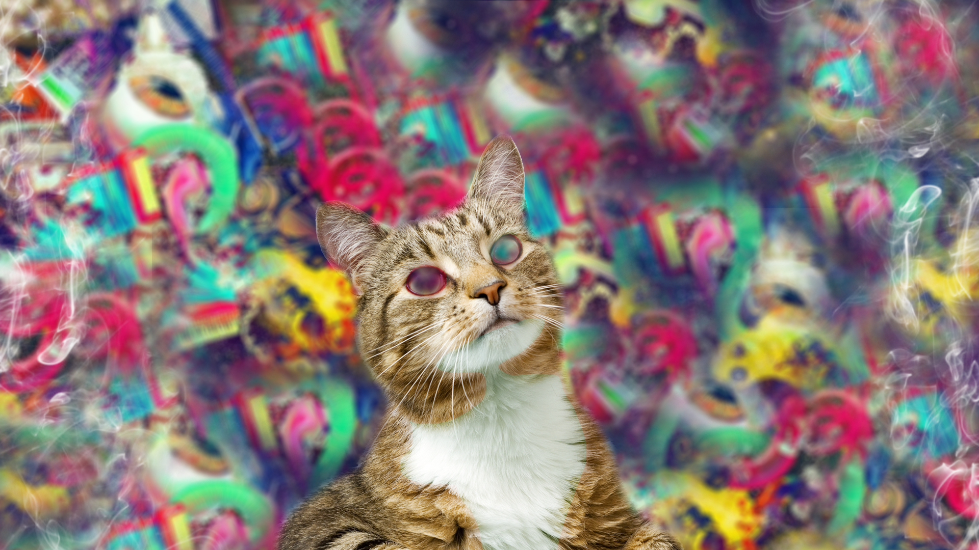 General 1920x1080 psychedelic abstract cats trippy