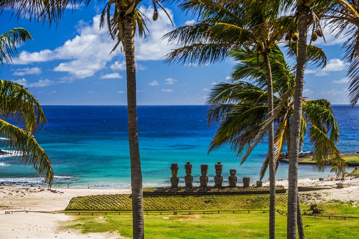 General 1230x820 beach sea palm trees grass sand Moai statue Easter Island Rapa Nui Chile sunlight