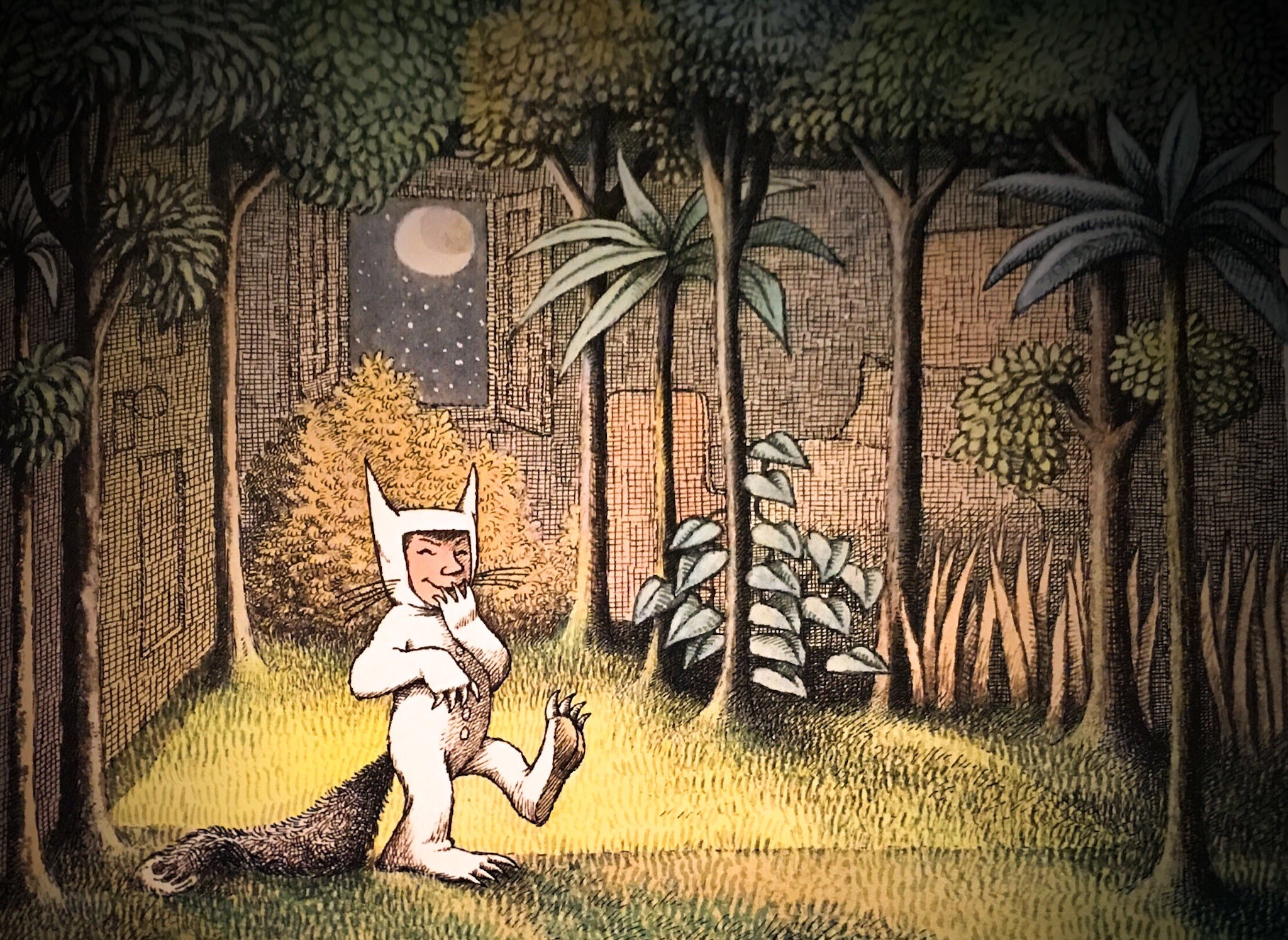 General 2048x1494 Where the Wild Things Are forest books