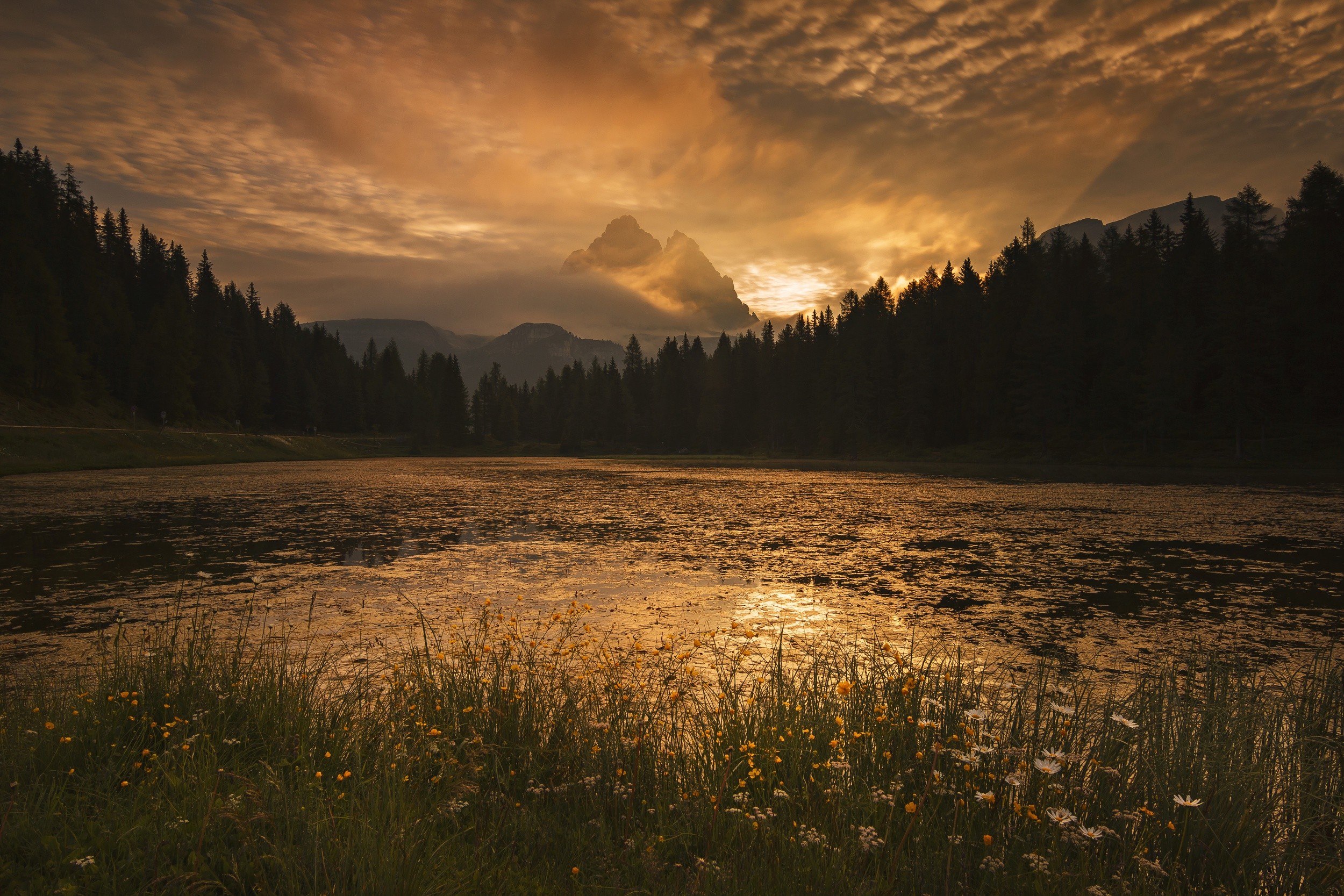 General 2500x1667 photography nature landscape morning sunlight sunrise wildflowers gold sky river mountains forest low light