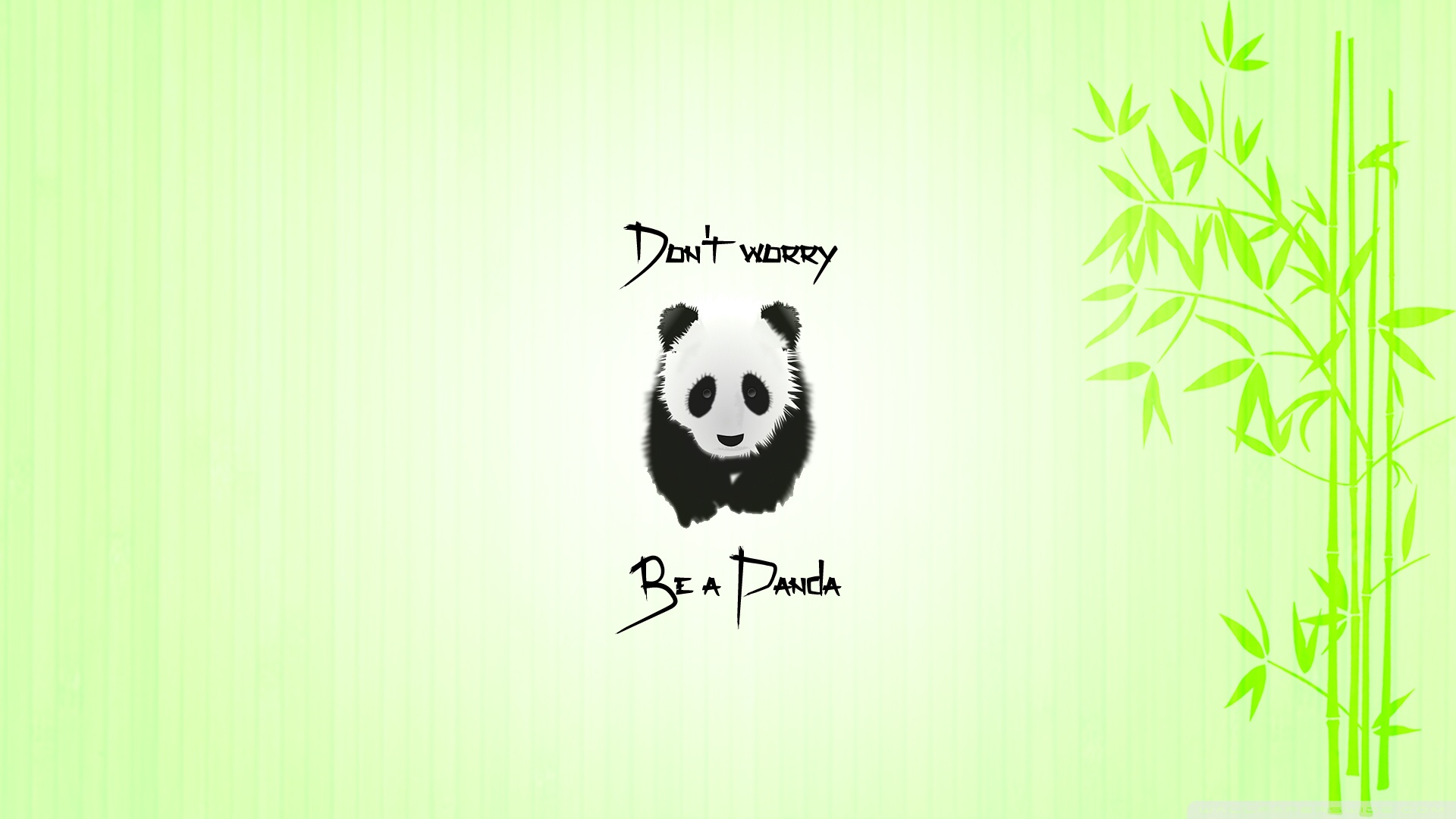 General 1920x1080 panda quote animals bamboo