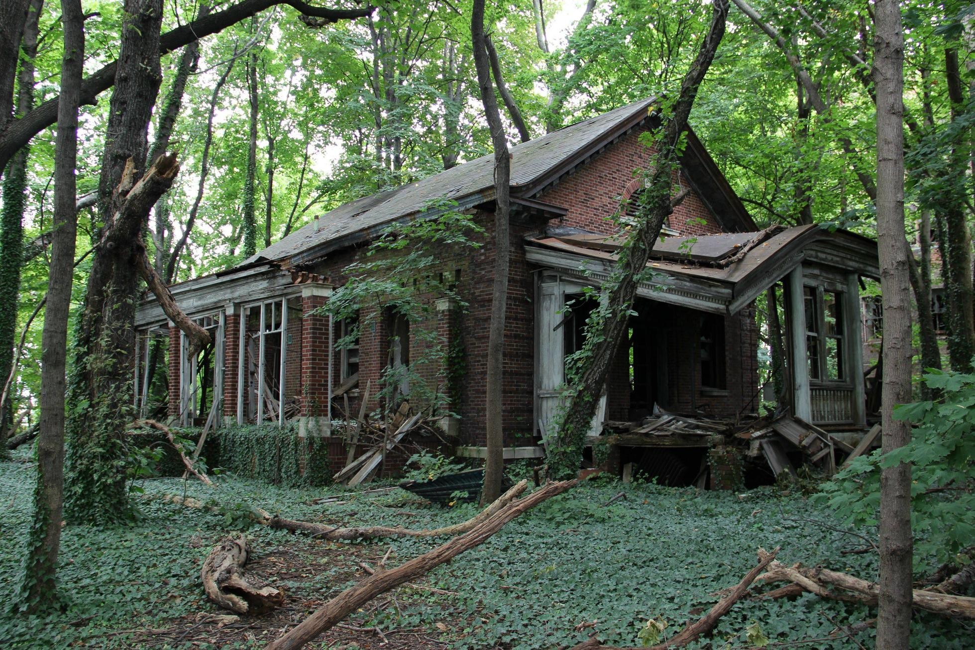 General 1959x1306 abandoned forest house