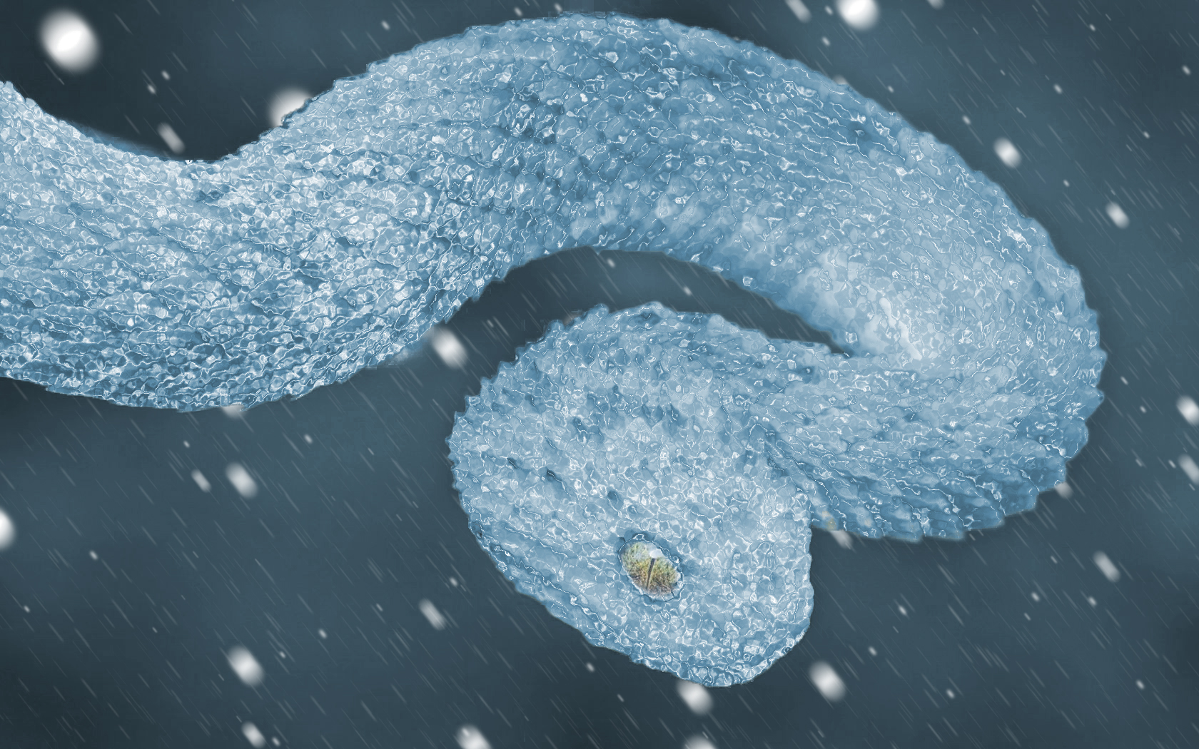 General 1680x1050 snake ice snow winter frost