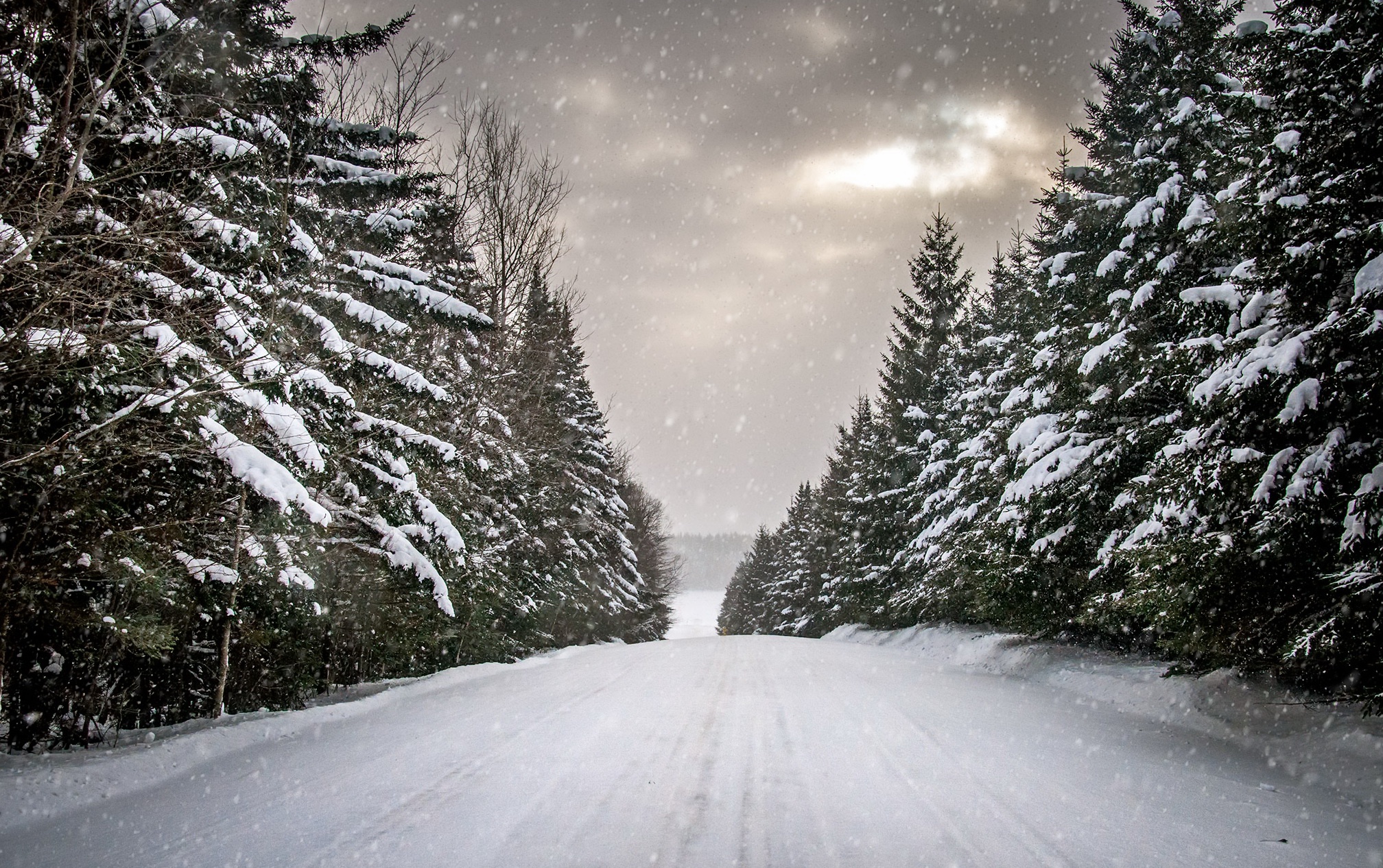 General 2016x1267 winter road snow trees