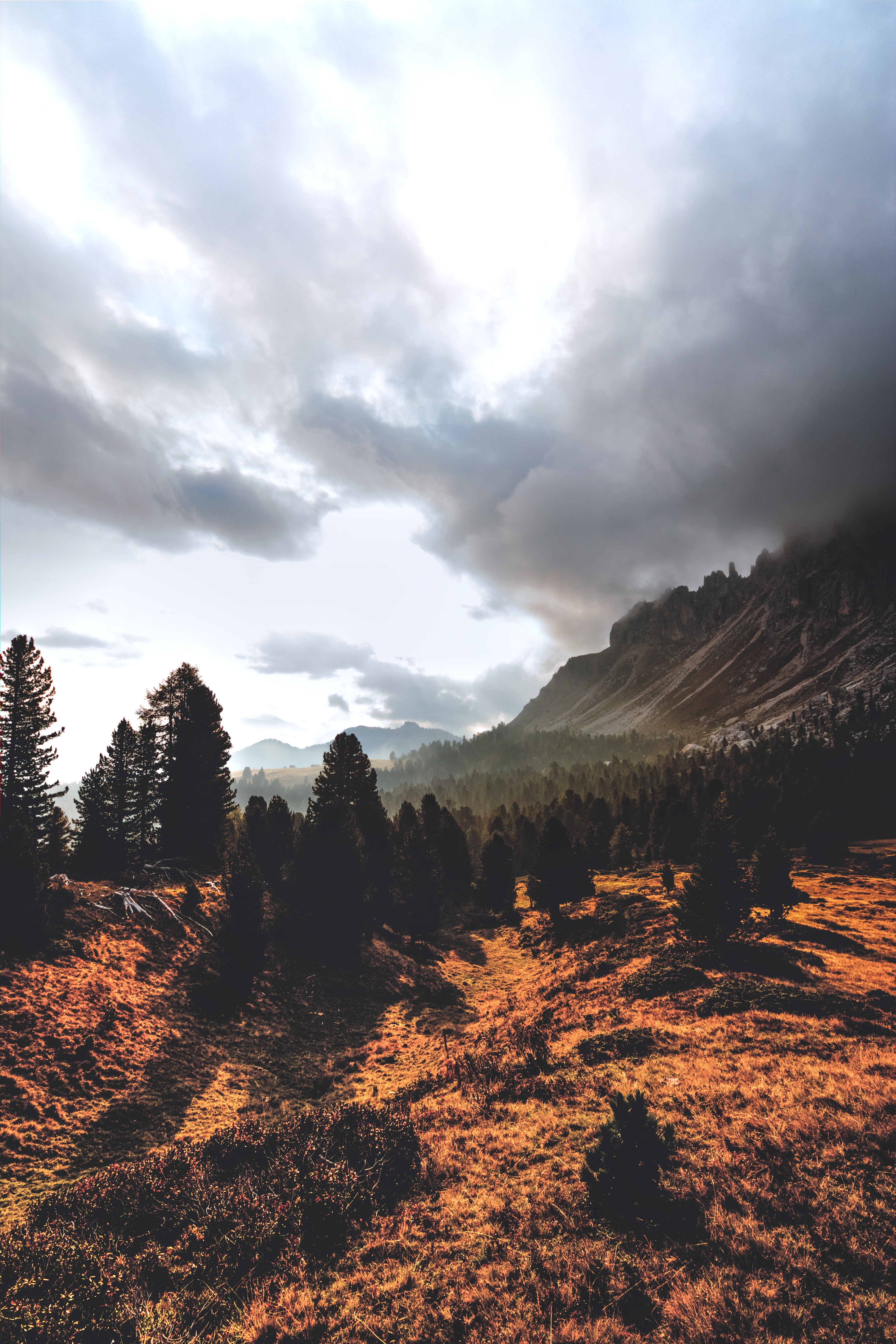 General 3648x5472 nature trees landscape sky mountains