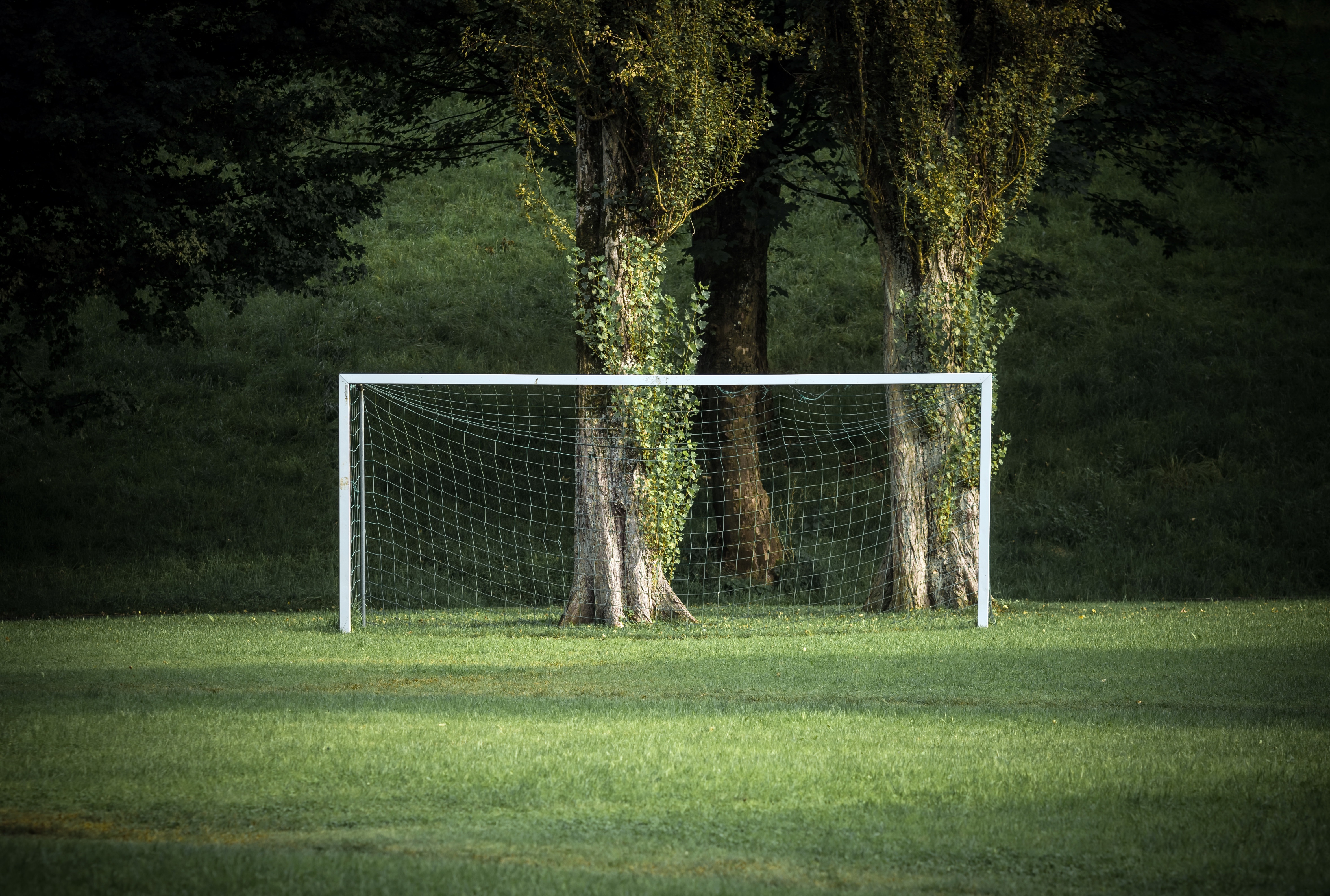 General 4709x3173 grass green trees sport soccer field Goal