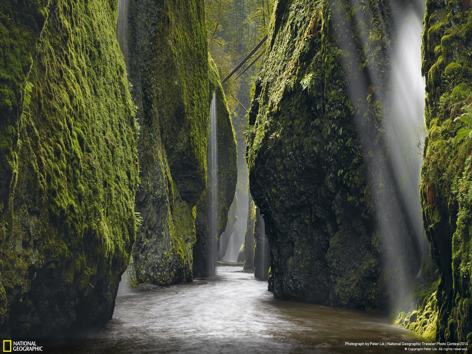 General 1600x1200 nature landscape National Geographic trees rocks moss plants river waterfall valley Oregon USA long exposure photography