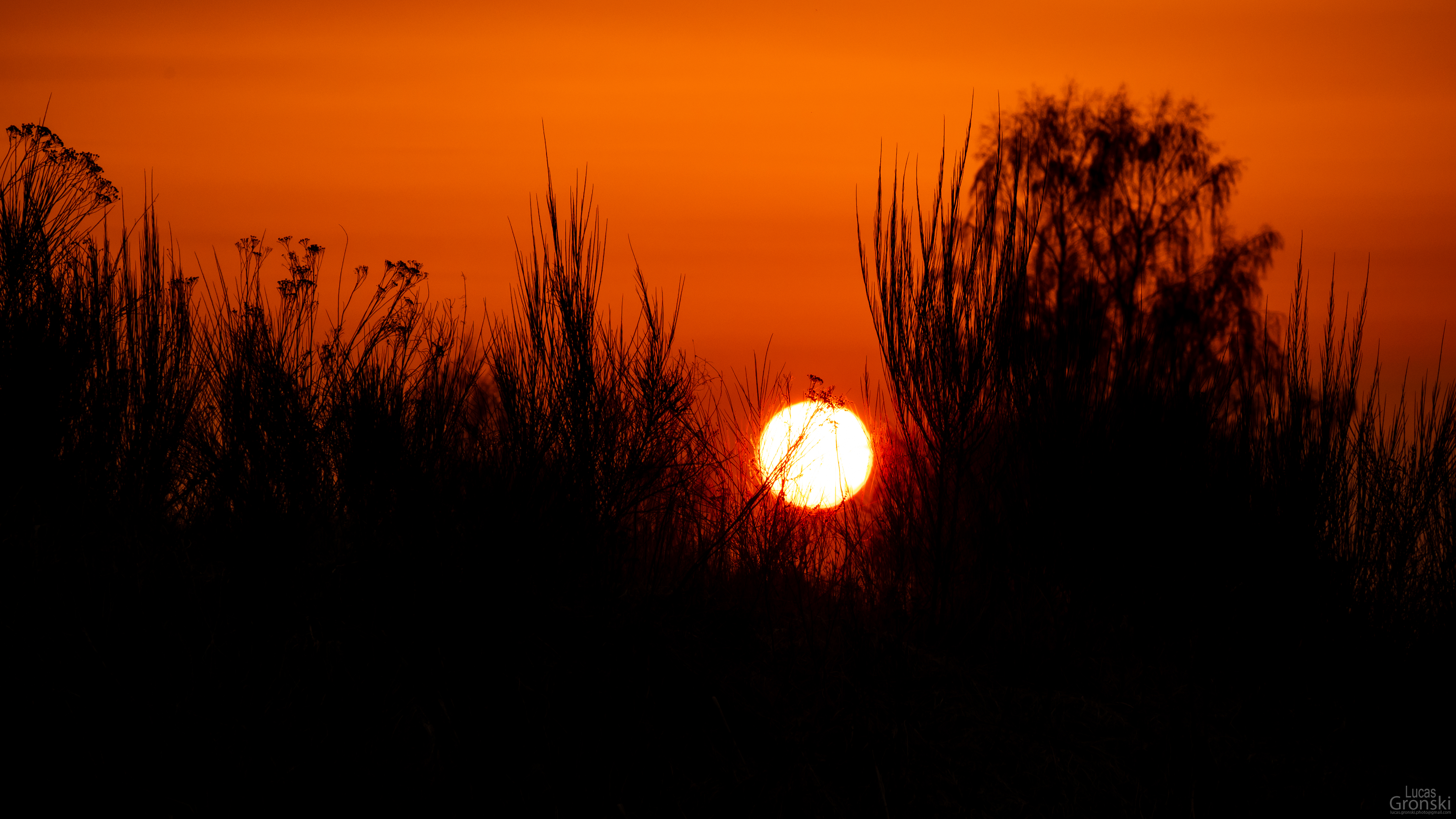 General 4549x2559 sunset bushes nature landscape shadow photography orange low light watermarked