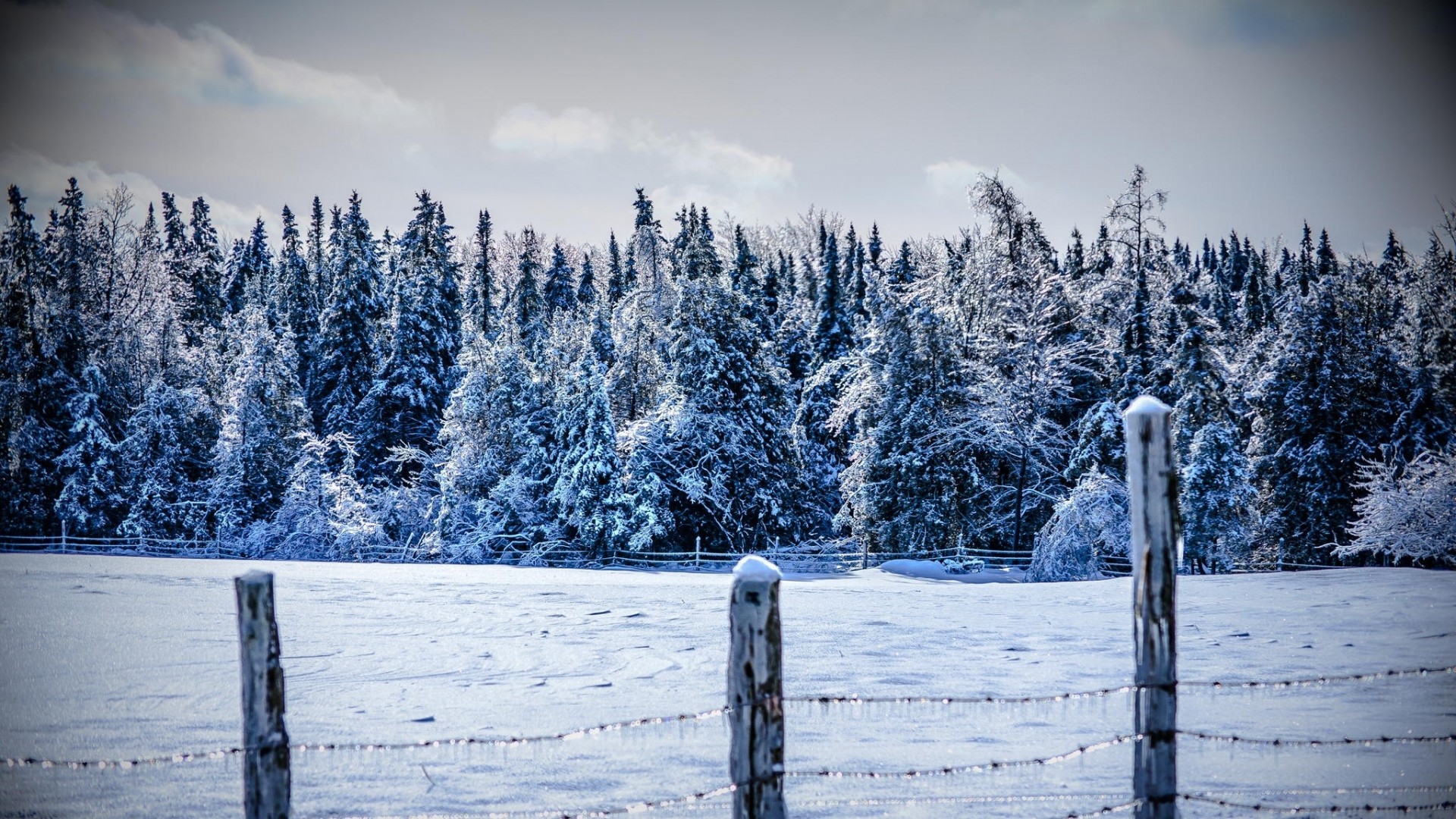 General 1920x1080 snow trees fence field winter ice cold outdoors