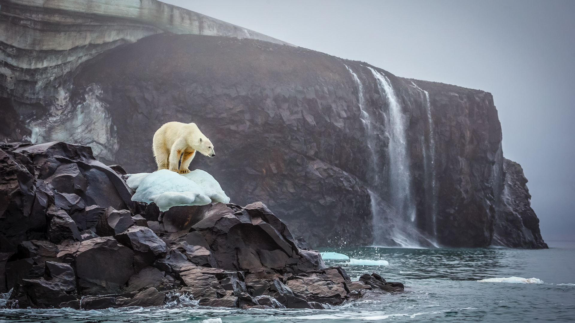 General 1920x1080 polar bears bears nature sea glacier waterfall rocks