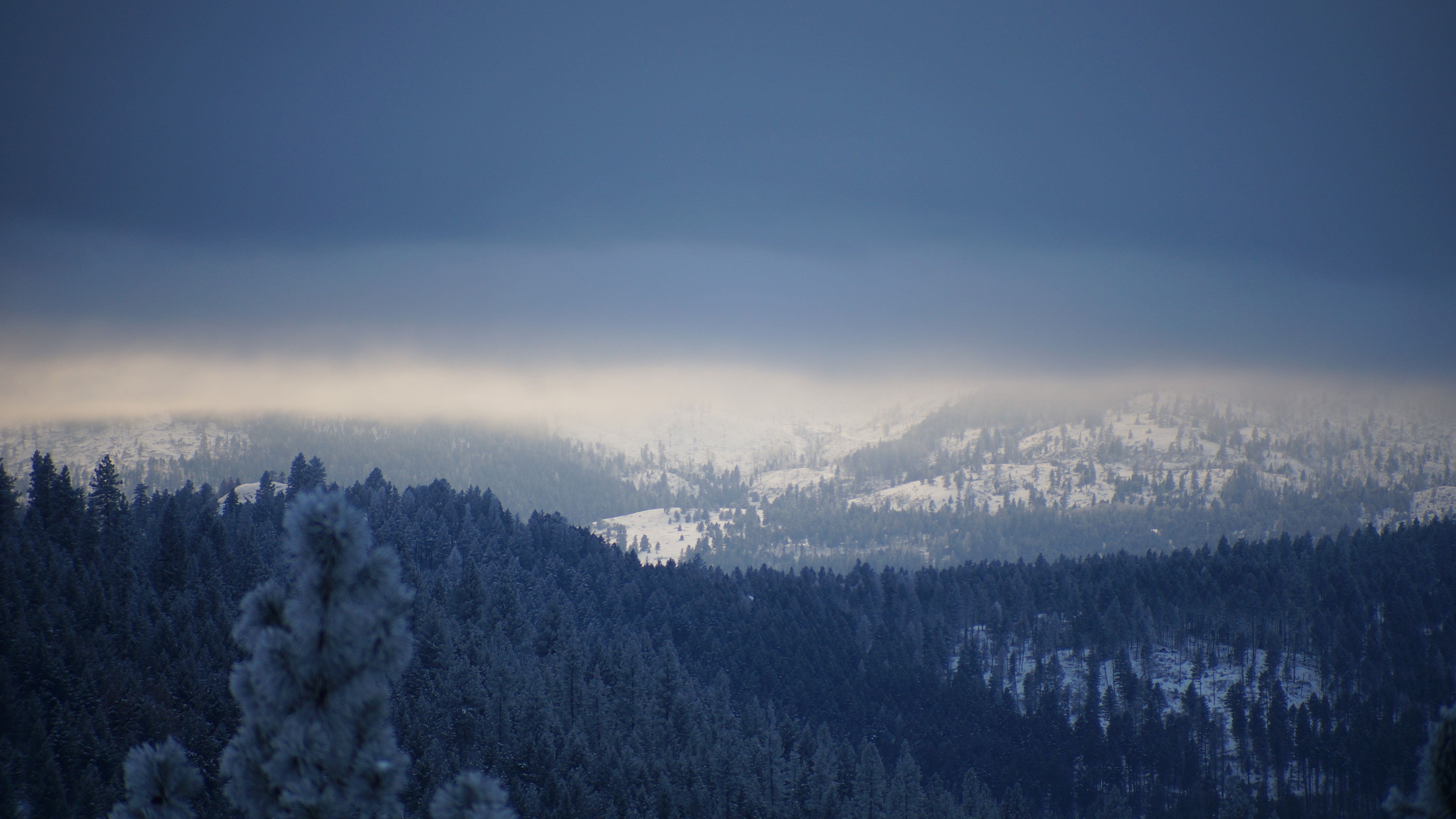 General 3840x2160 mountains overcast snow pine trees winter hills forest far view