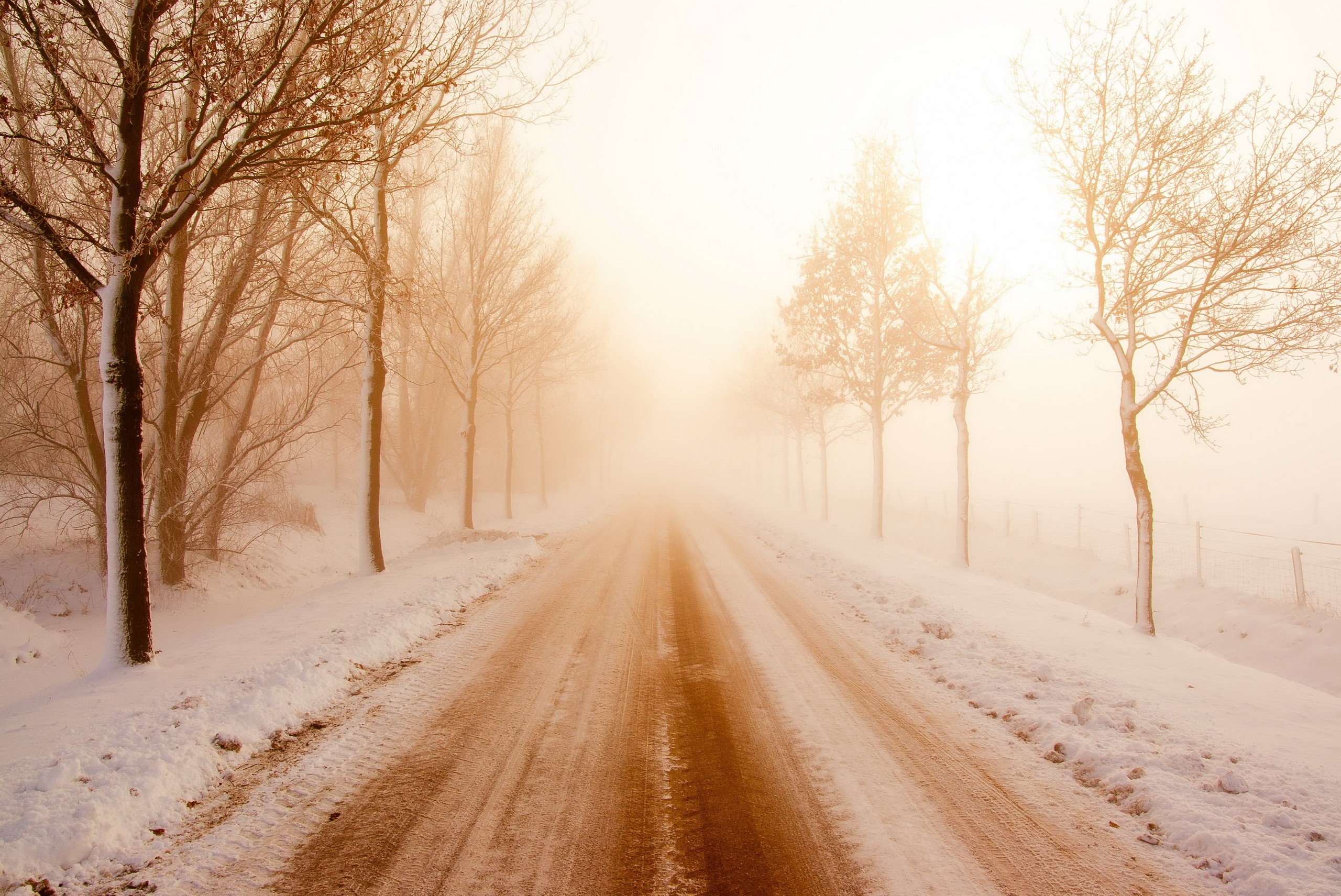 General 2560x1711 trees street road dirt road mist brown nature bright winter cold outdoors ice snow