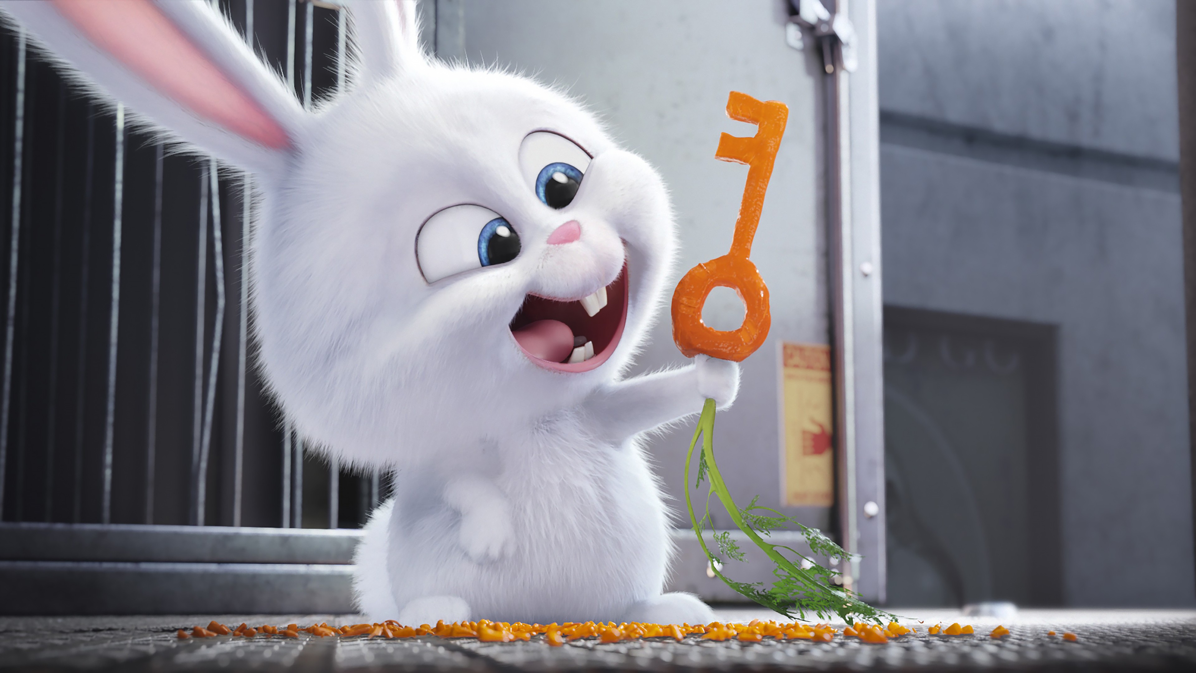 General 3840x2160 movies rabbits The Secret Life of Pets movie scenes carrots keys animals