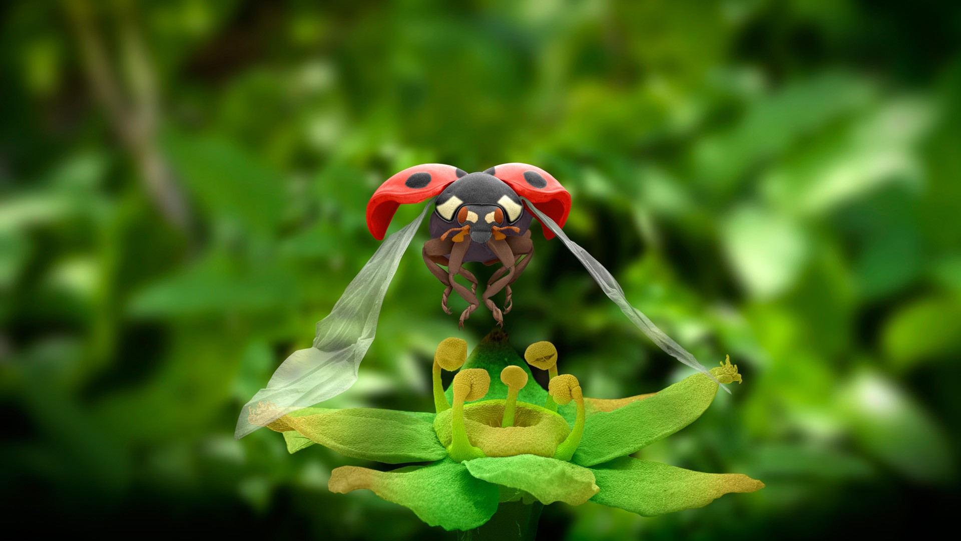 General 1920x1080 nature animals macro ladybugs closeup flying wings insect leaves depth of field plants CGI green background