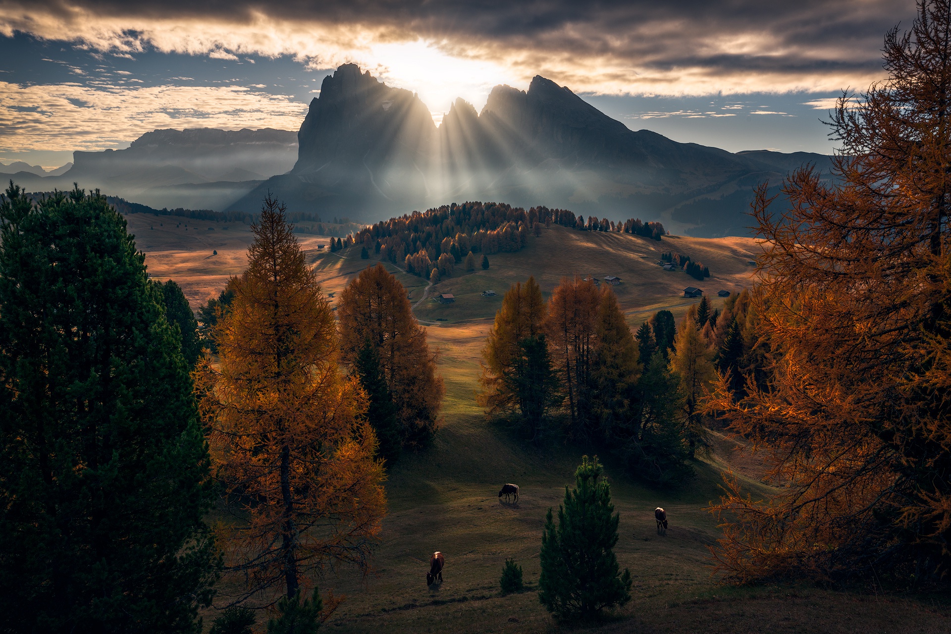 General 1920x1280 Dolomites nature fall clouds animals sun rays landscape hills