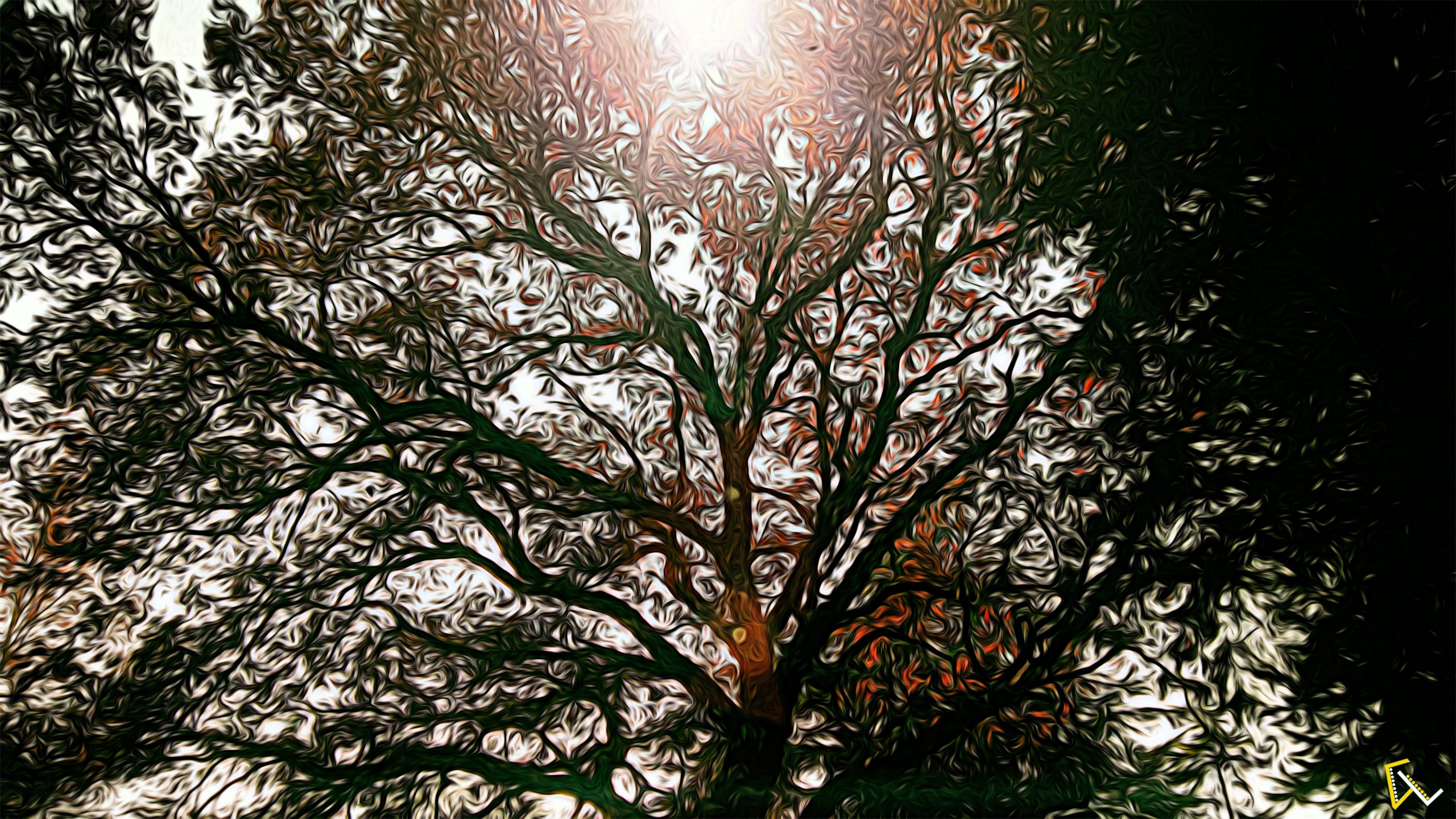 General 2560x1440 nature sun rays photoshopped Sun trees