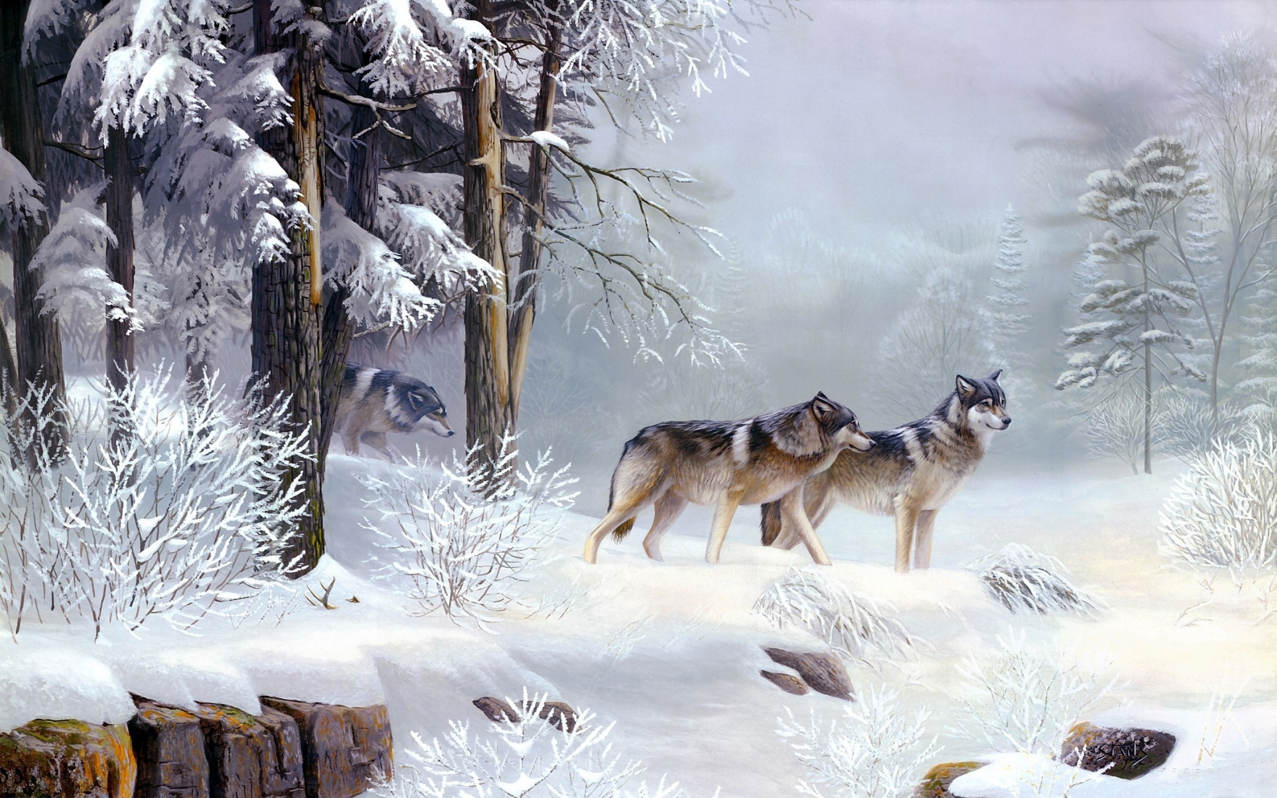 General 2560x1600 wolf landscape pine trees snow winter